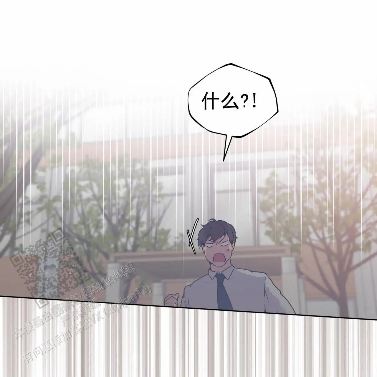 43.jpg