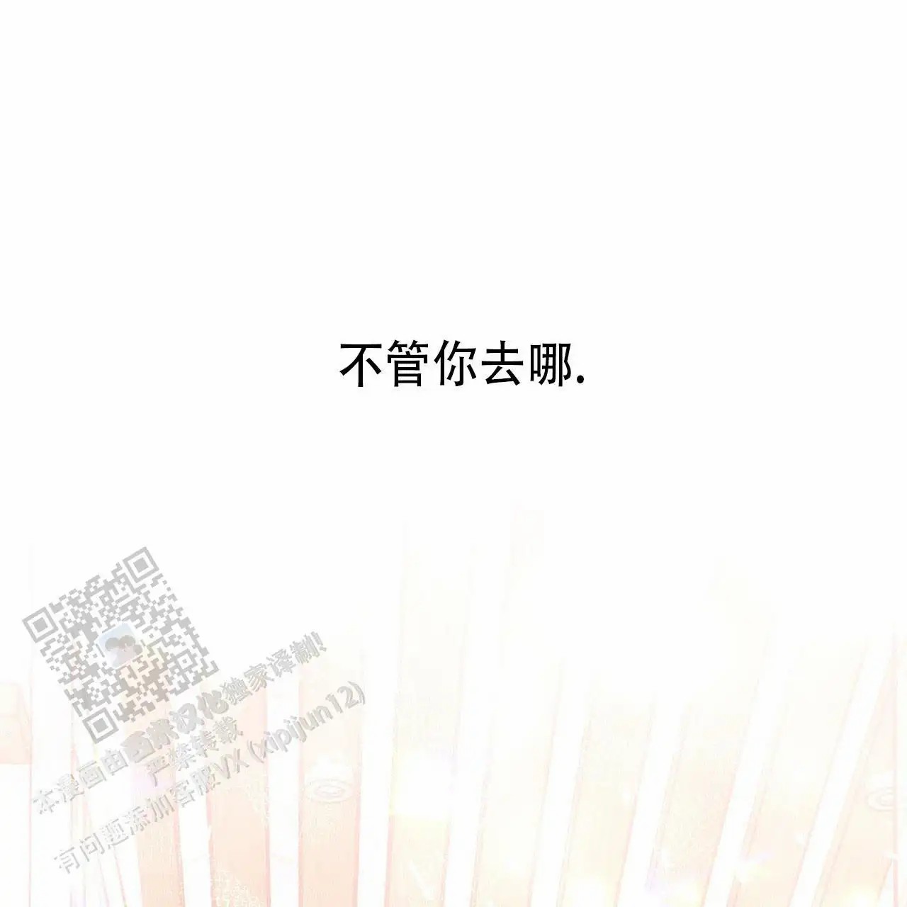 48.jpg