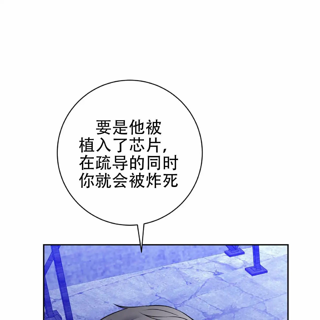 46.jpg