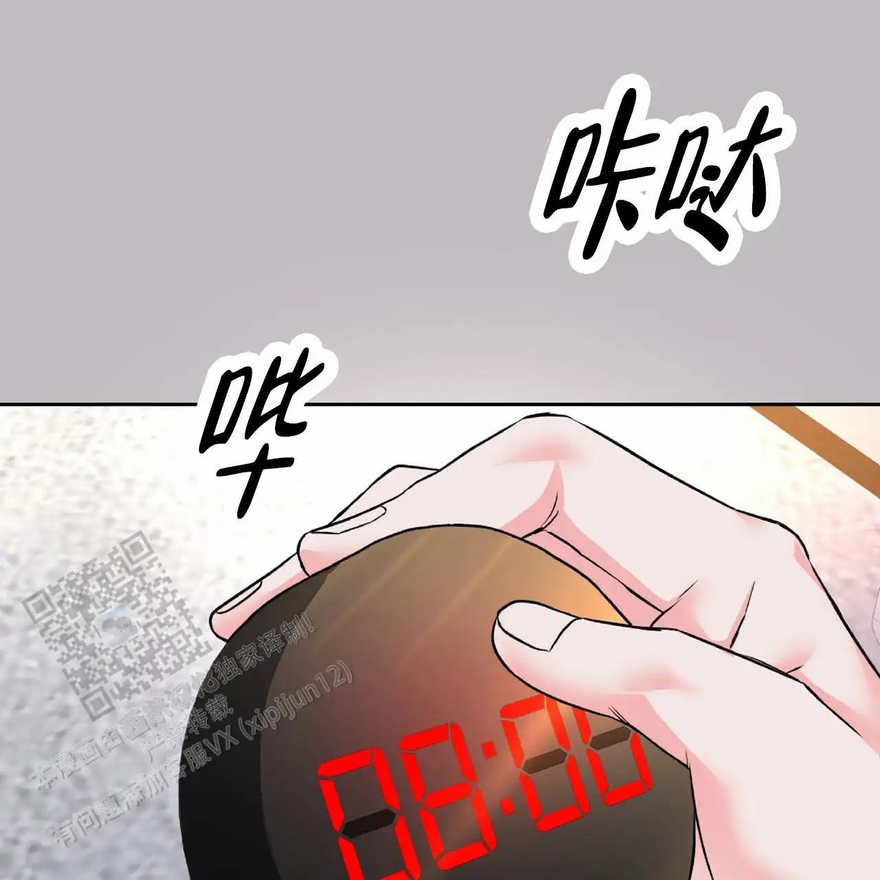 11.jpg