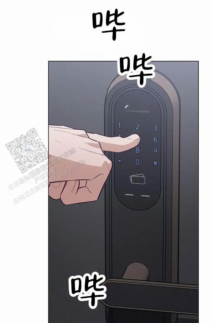 52.jpg