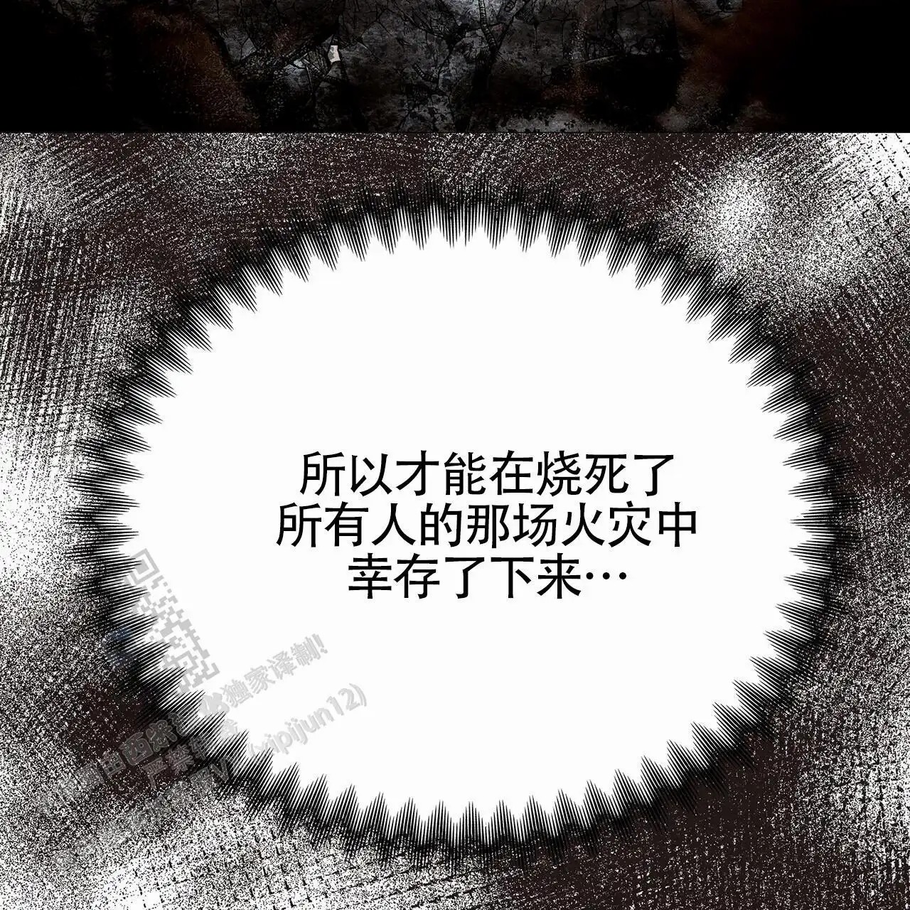 46.jpg