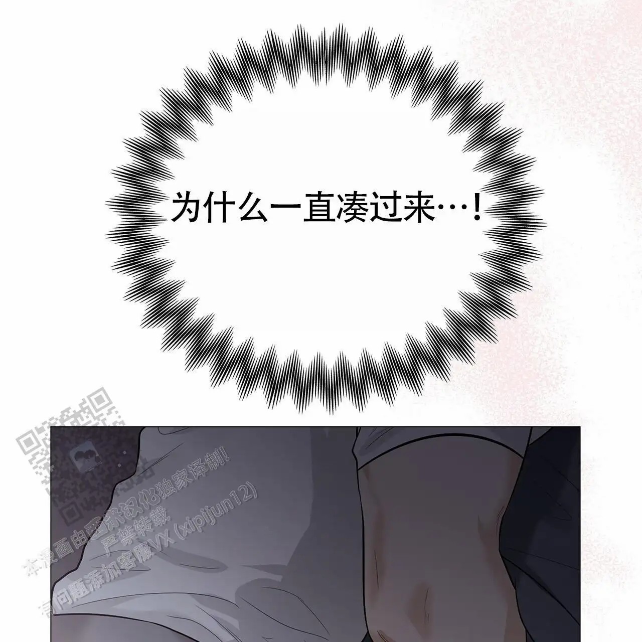 41.jpg