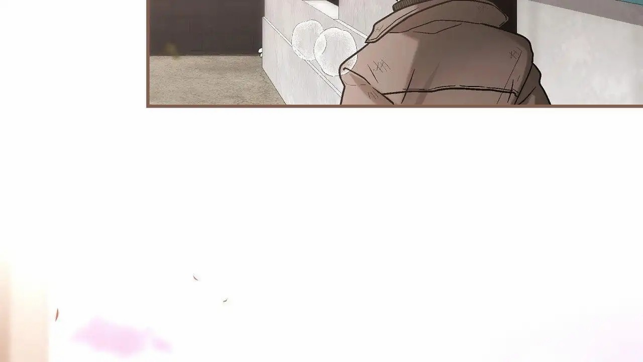 50.jpg