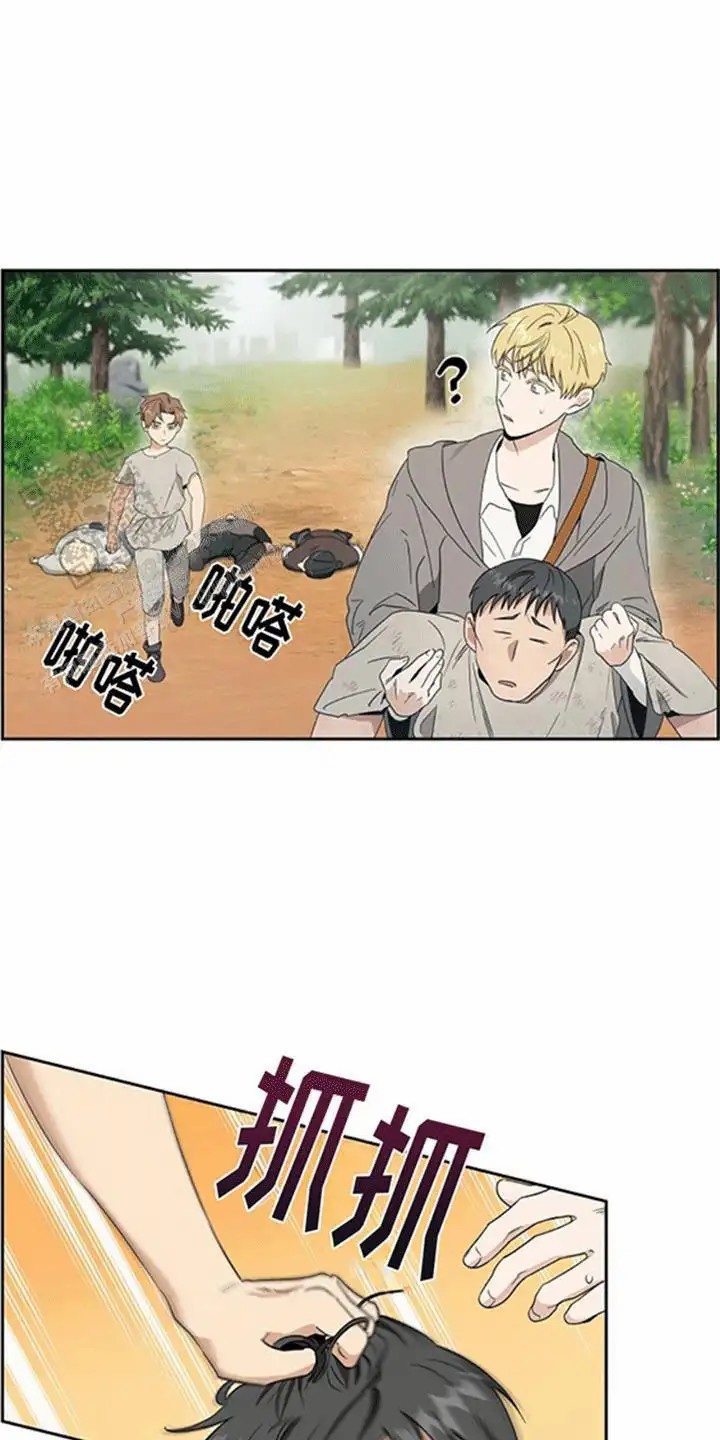 25.jpg