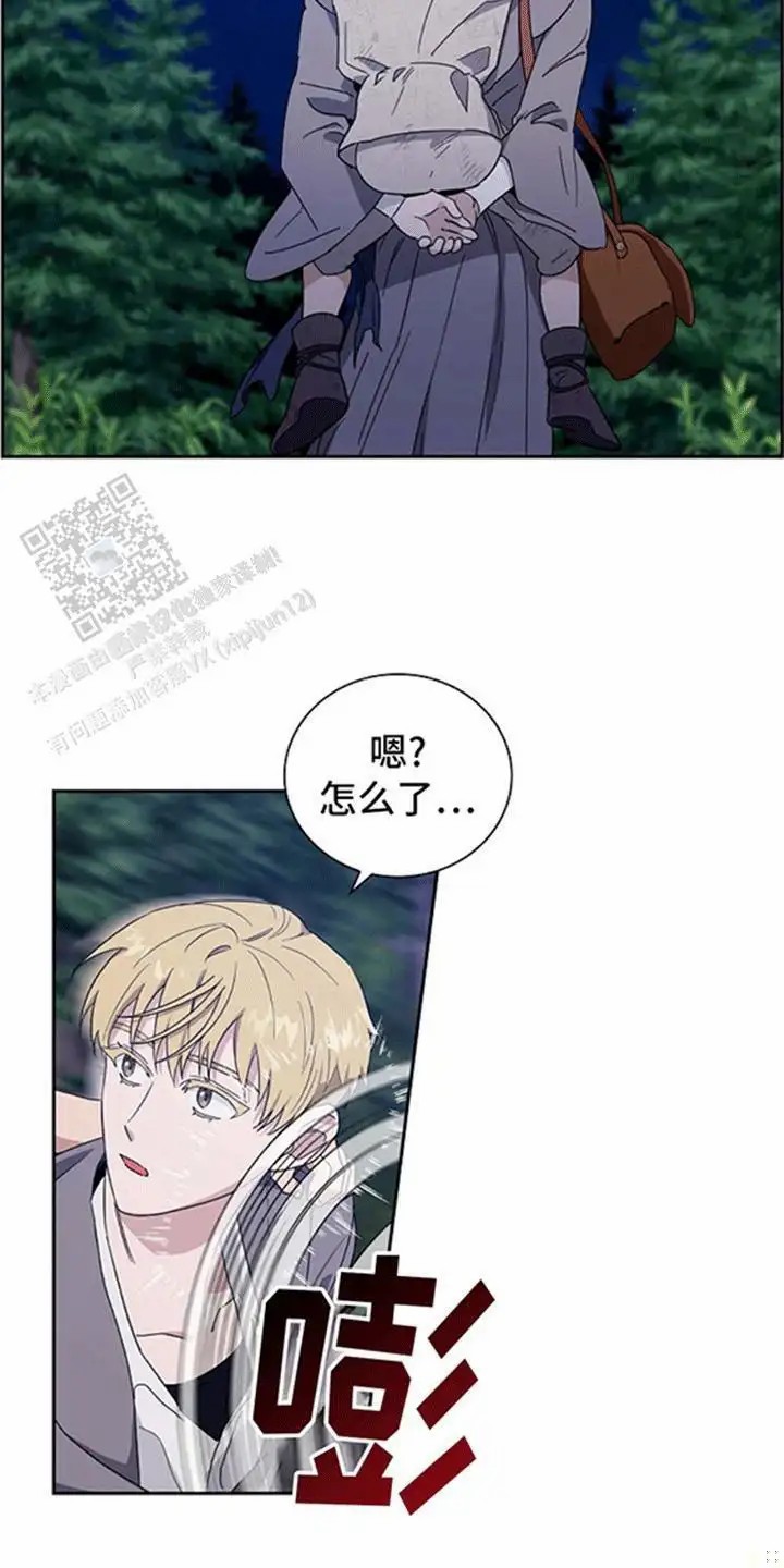13.jpg