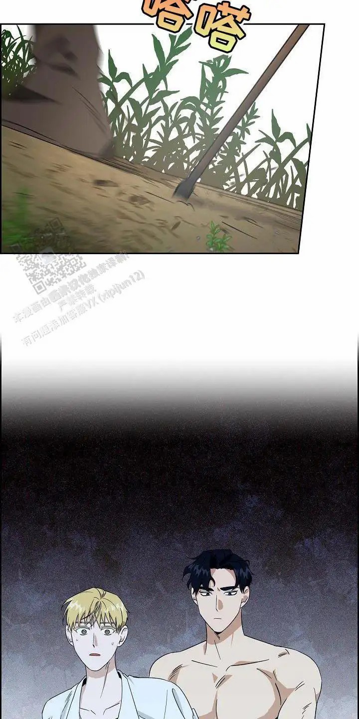 26.jpg