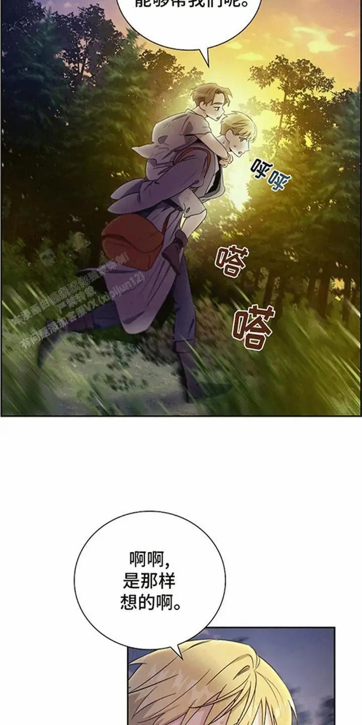 19.jpg