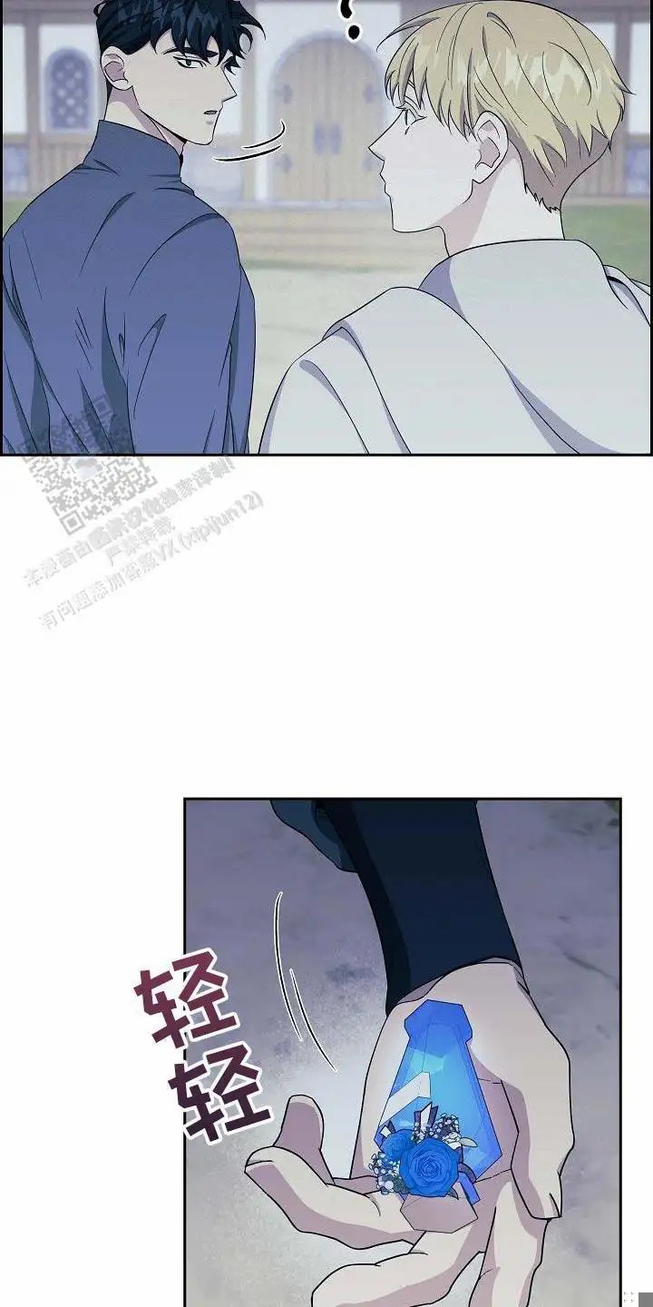 20.jpg