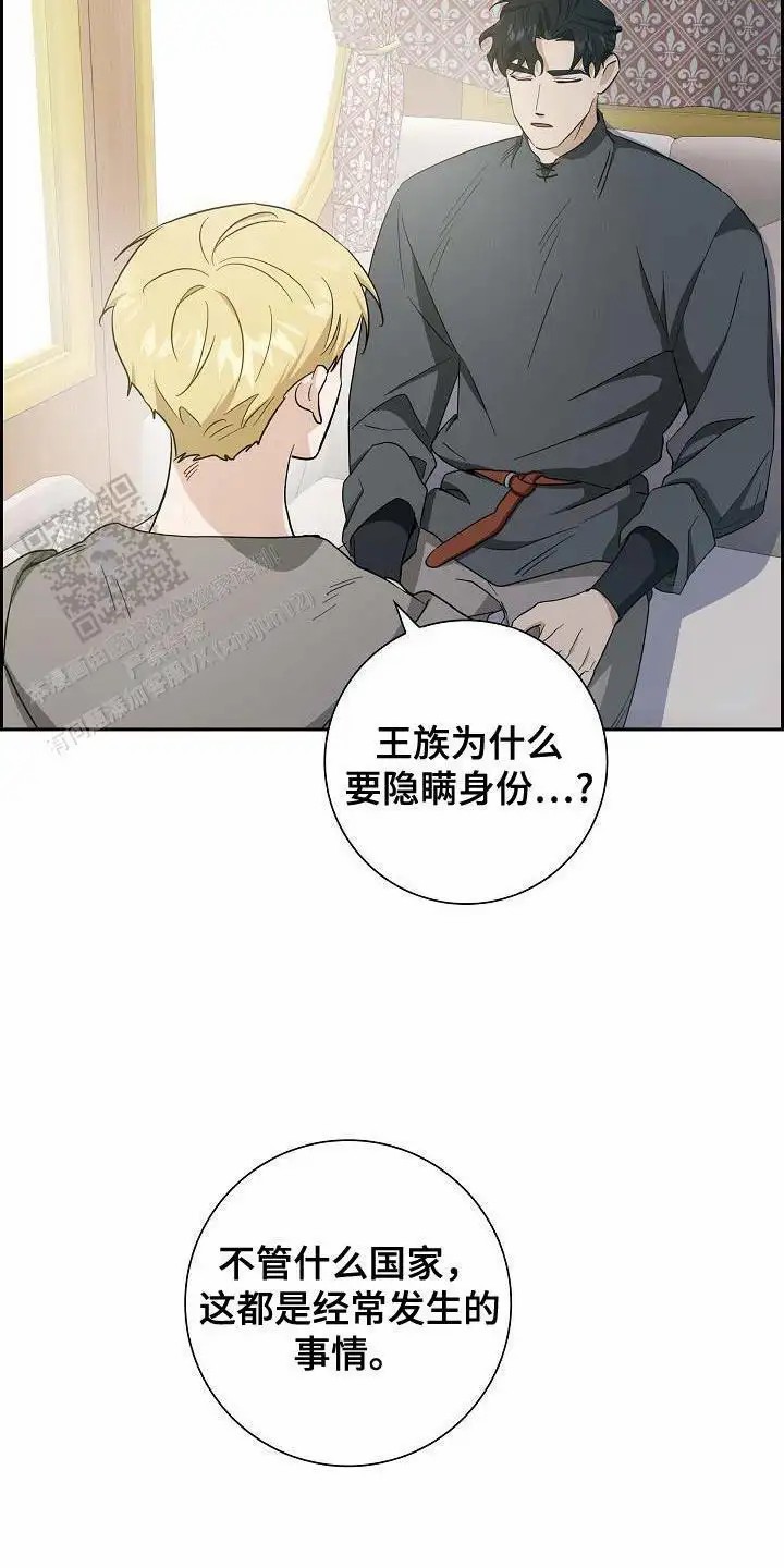 29.jpg