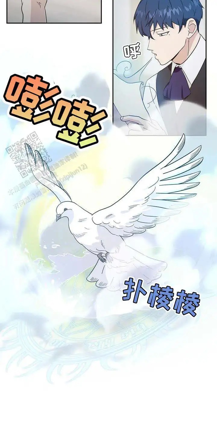 19.jpg