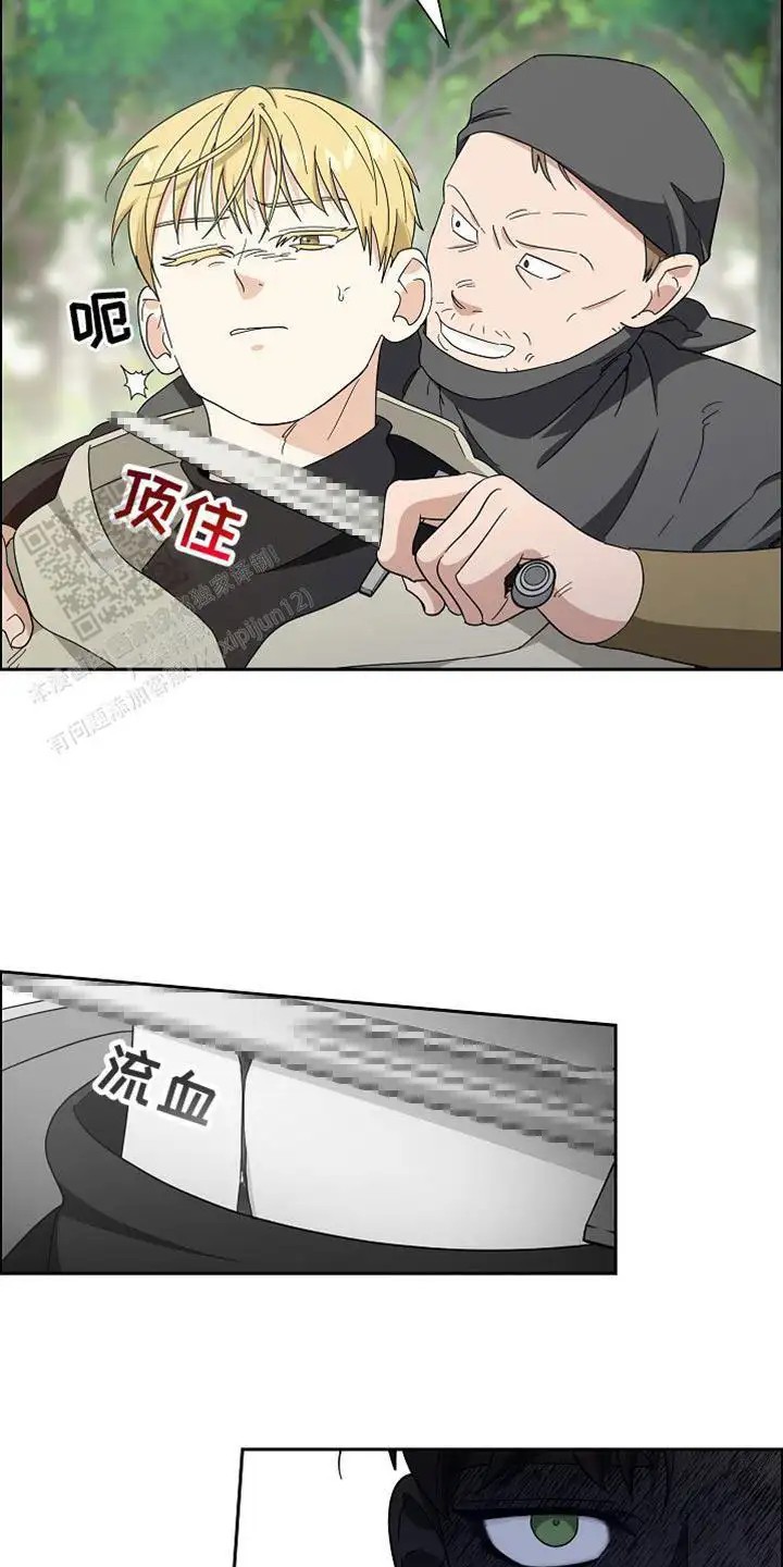 24.jpg