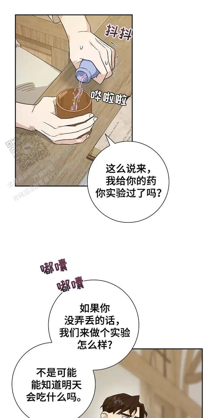 13.jpg