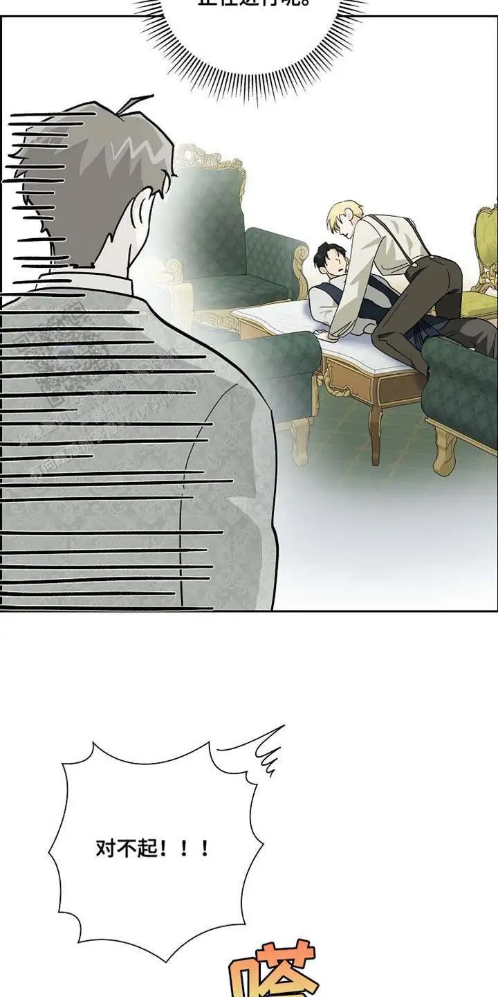 17.jpg