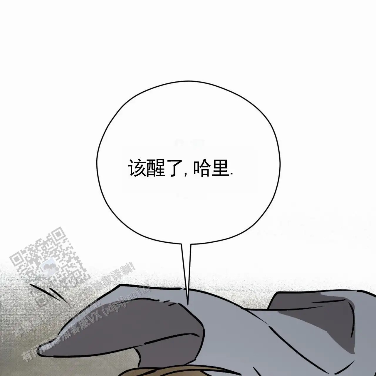 27.jpg