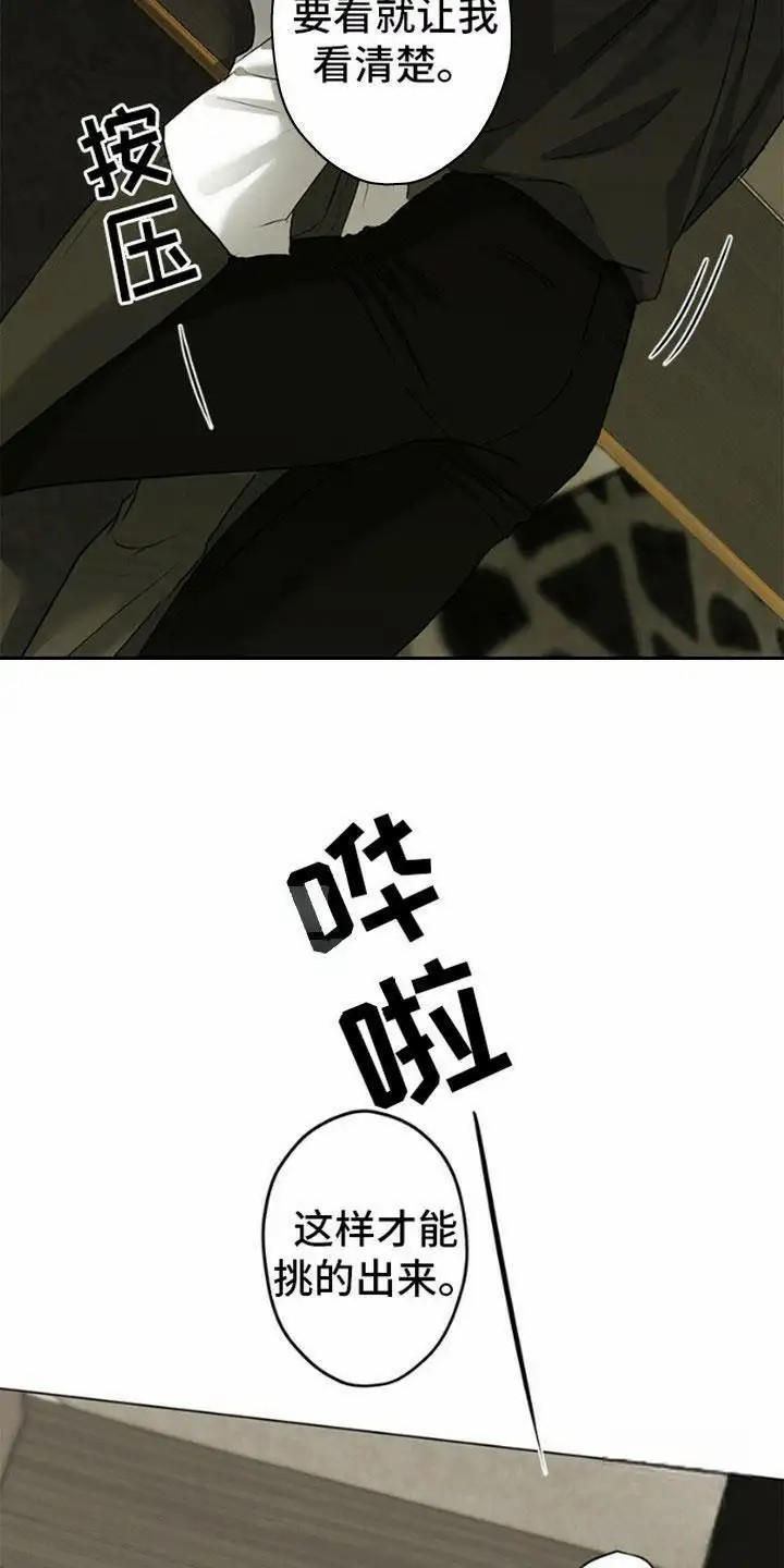 11.jpg