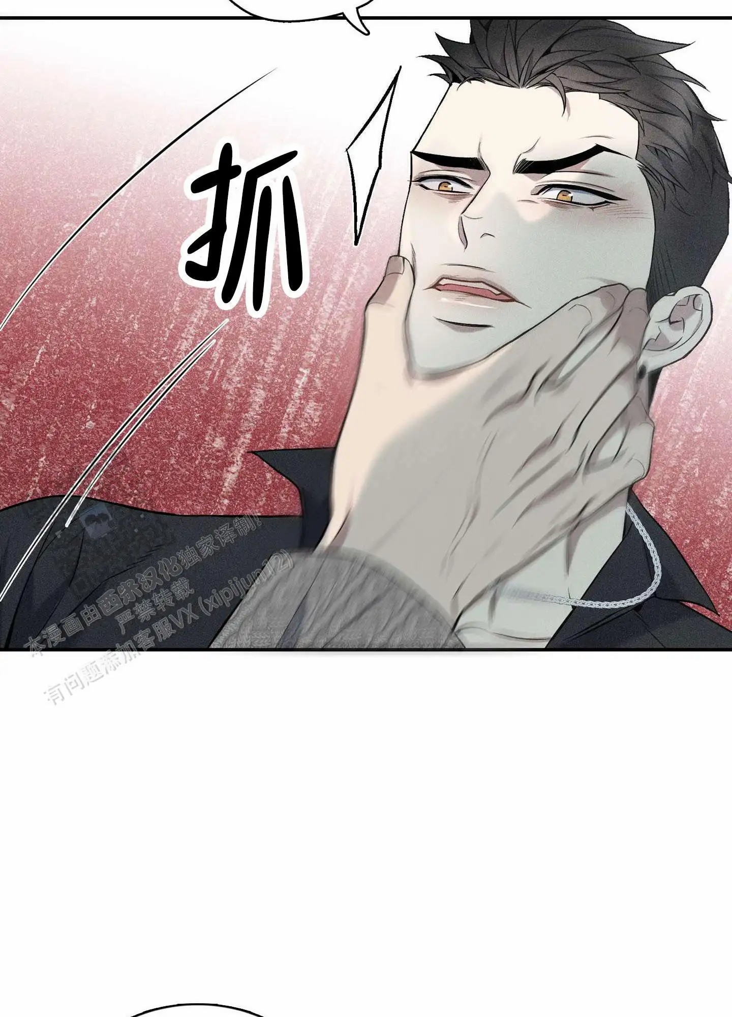 25.jpg
