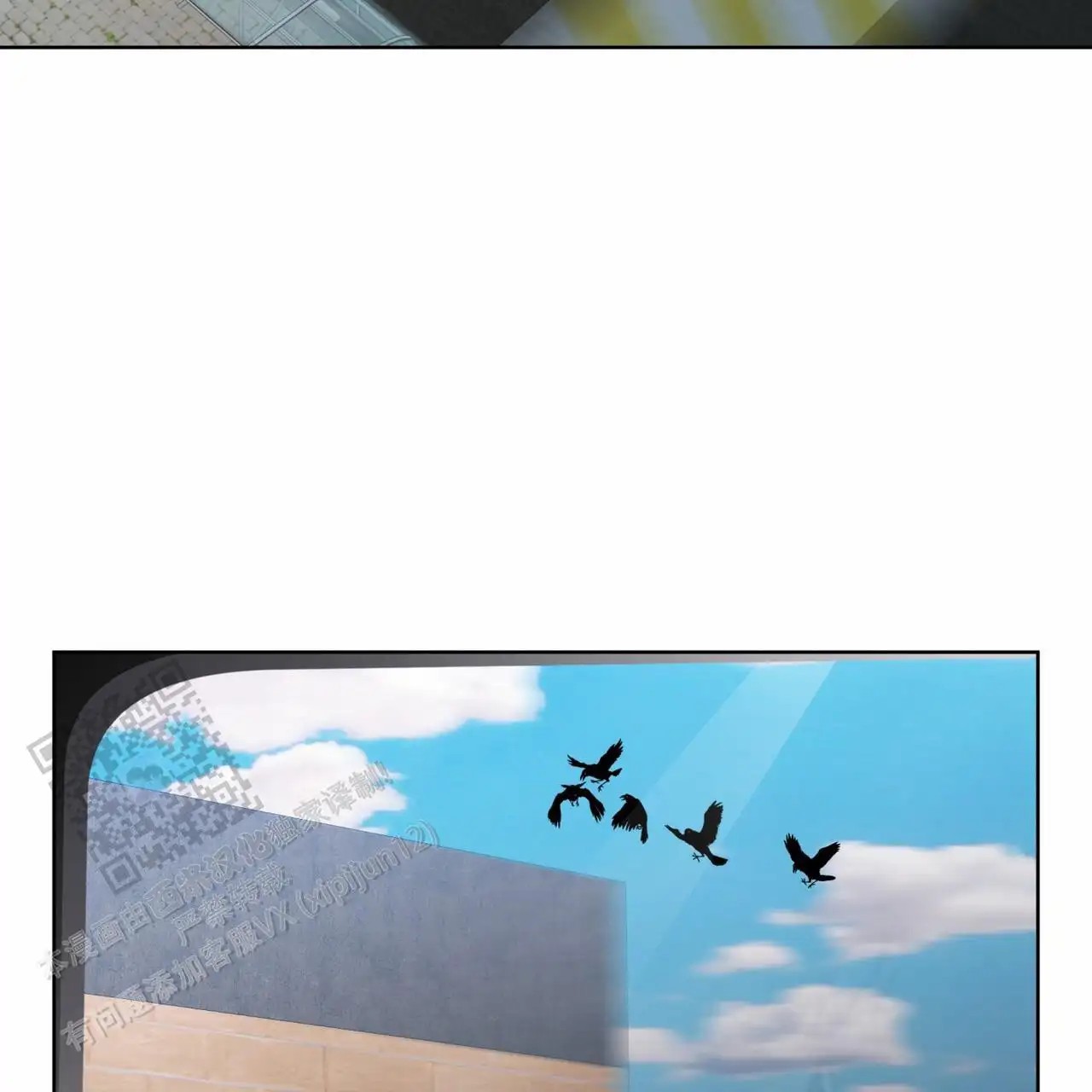 40.jpg