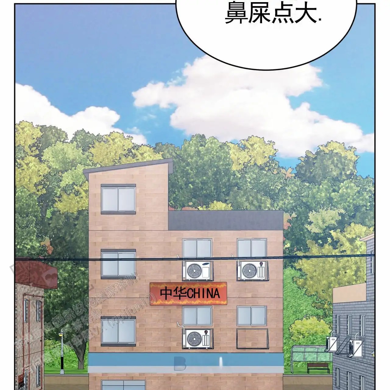 39.jpg