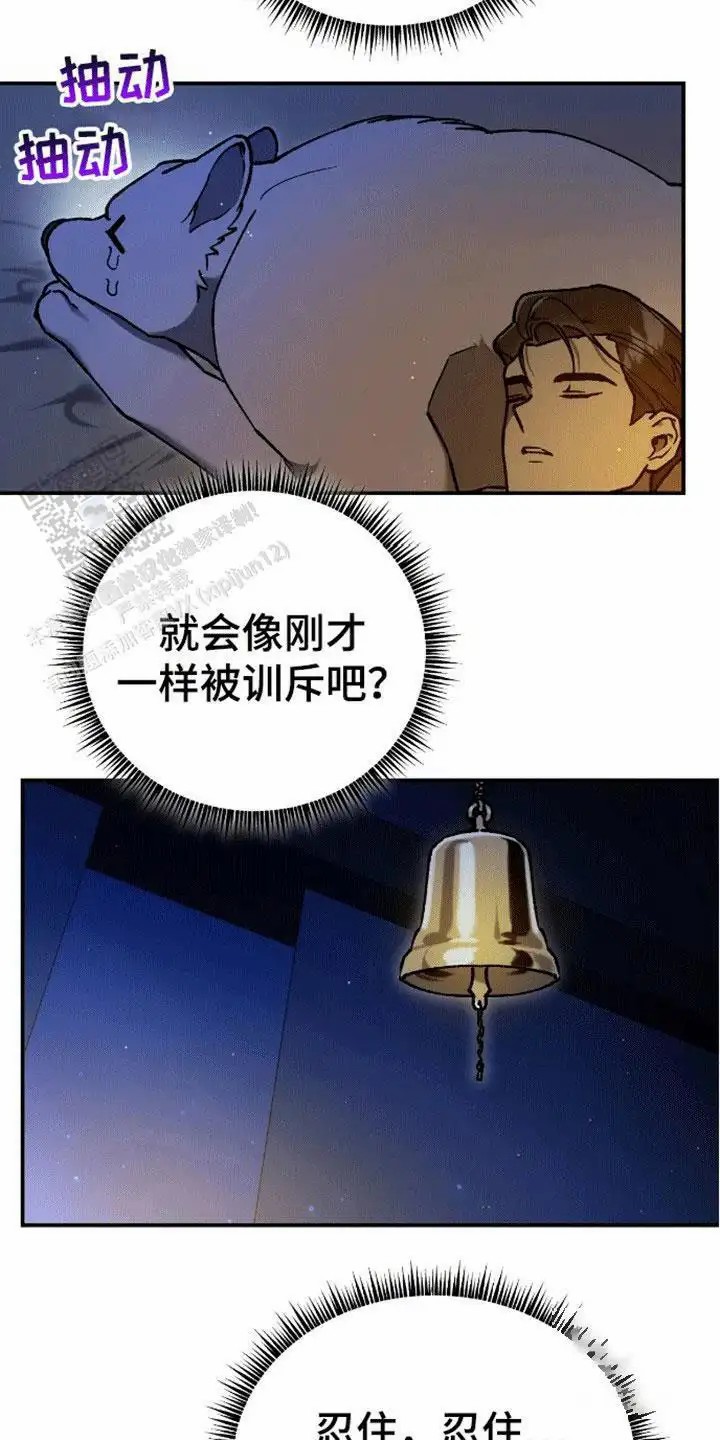 21.jpg