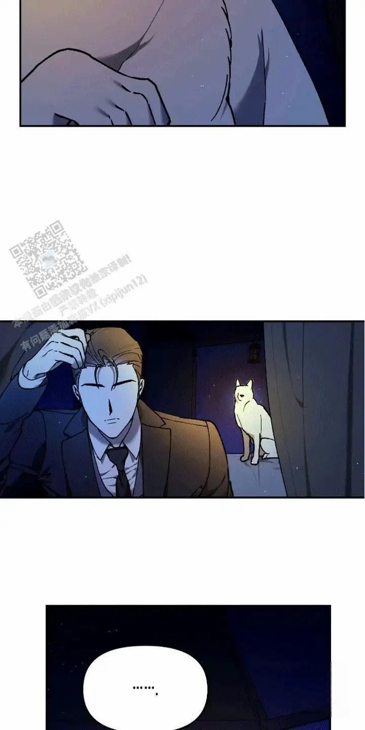 26.jpg