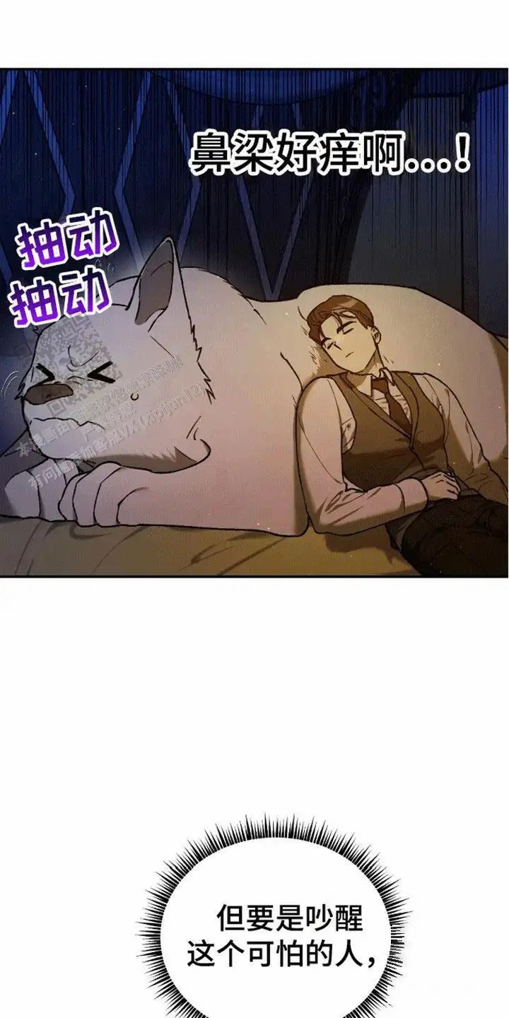 20.jpg