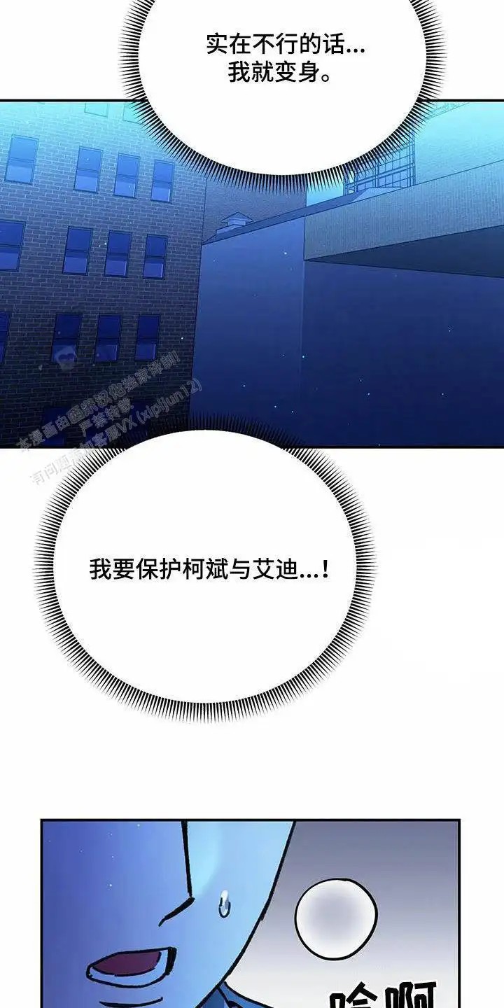 27.jpg