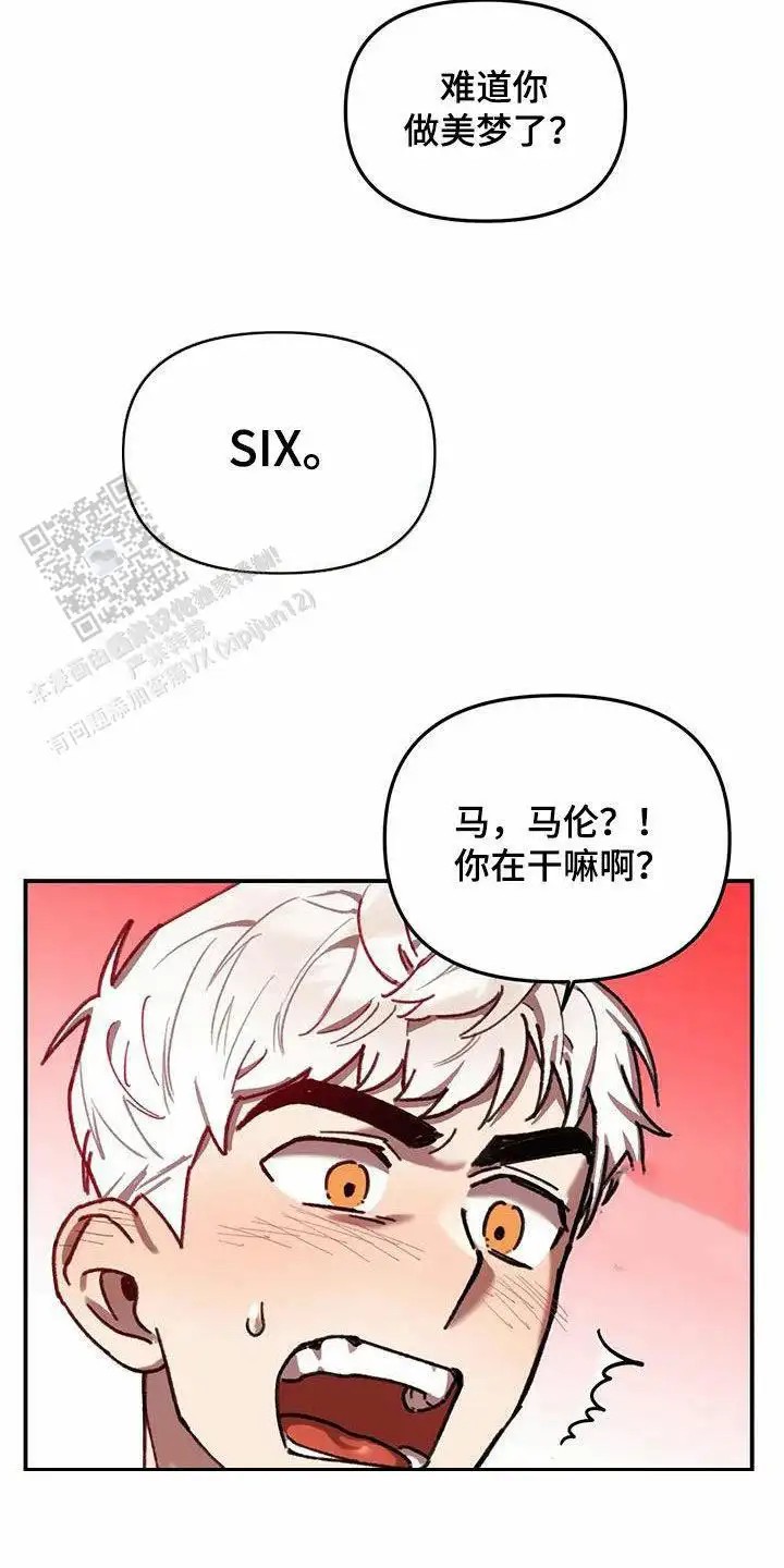 33.jpg
