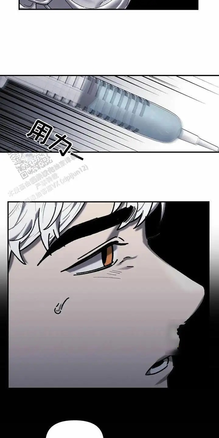 30.jpg