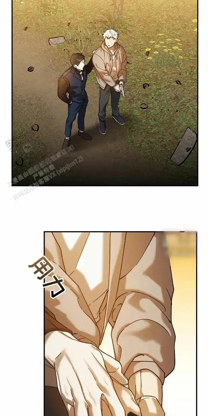 25.jpg