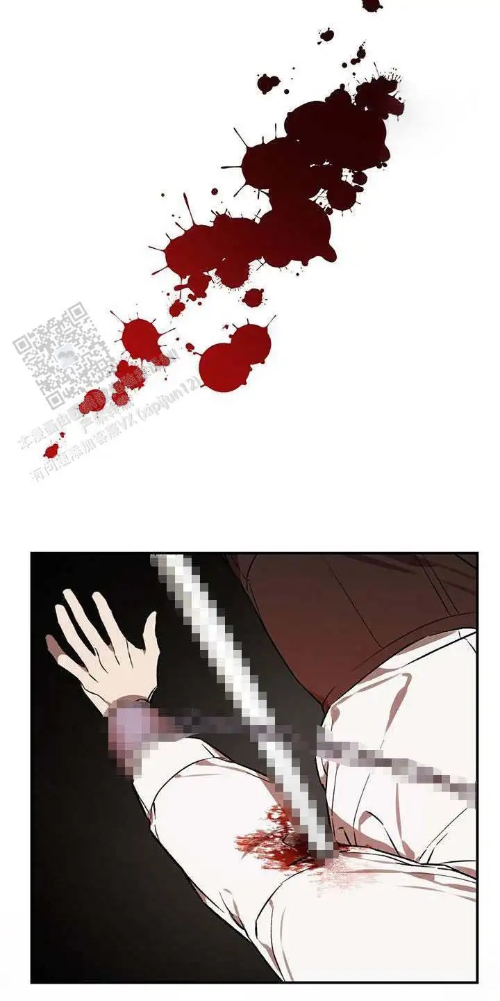 33.jpg