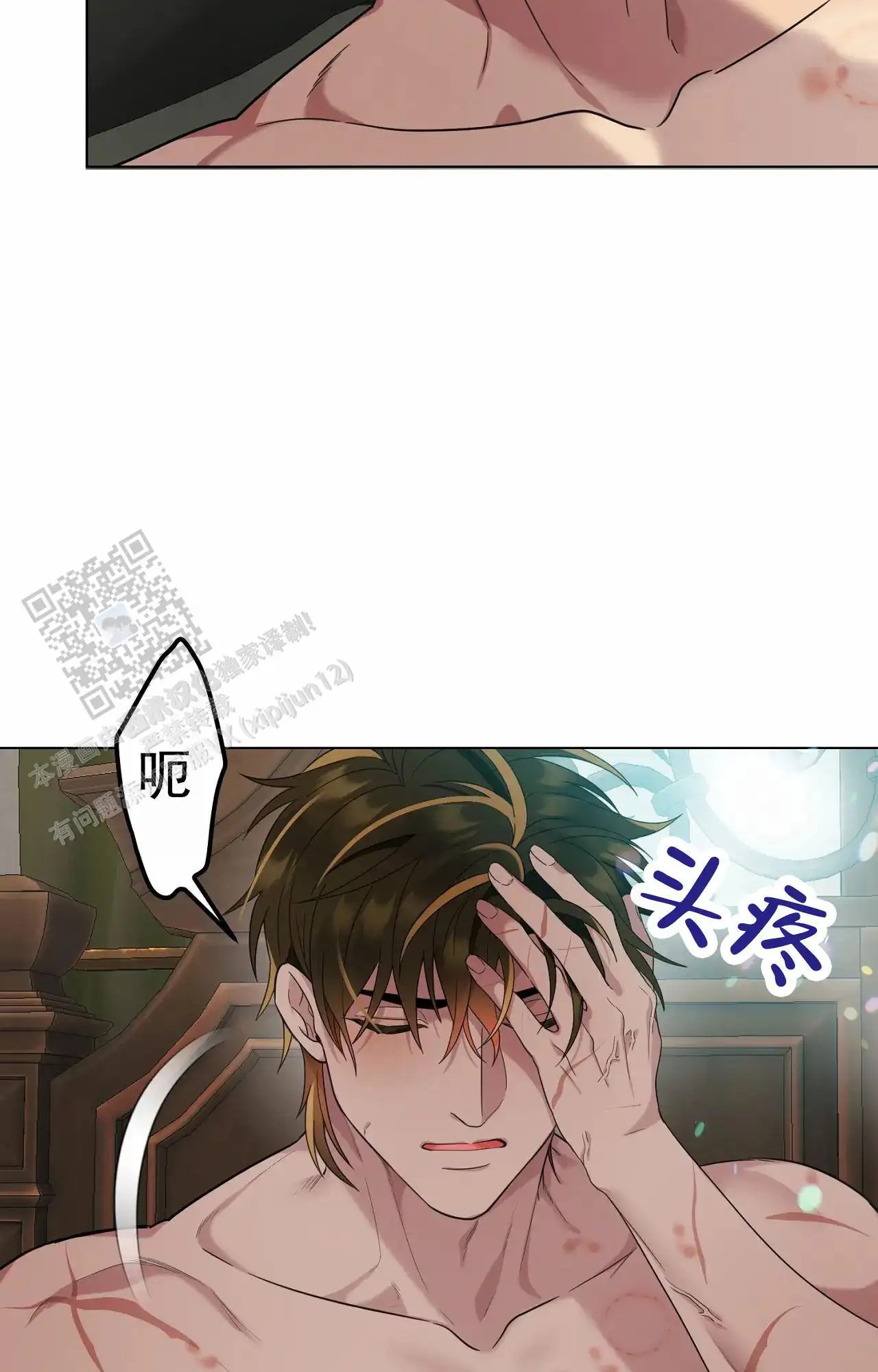 12.jpg