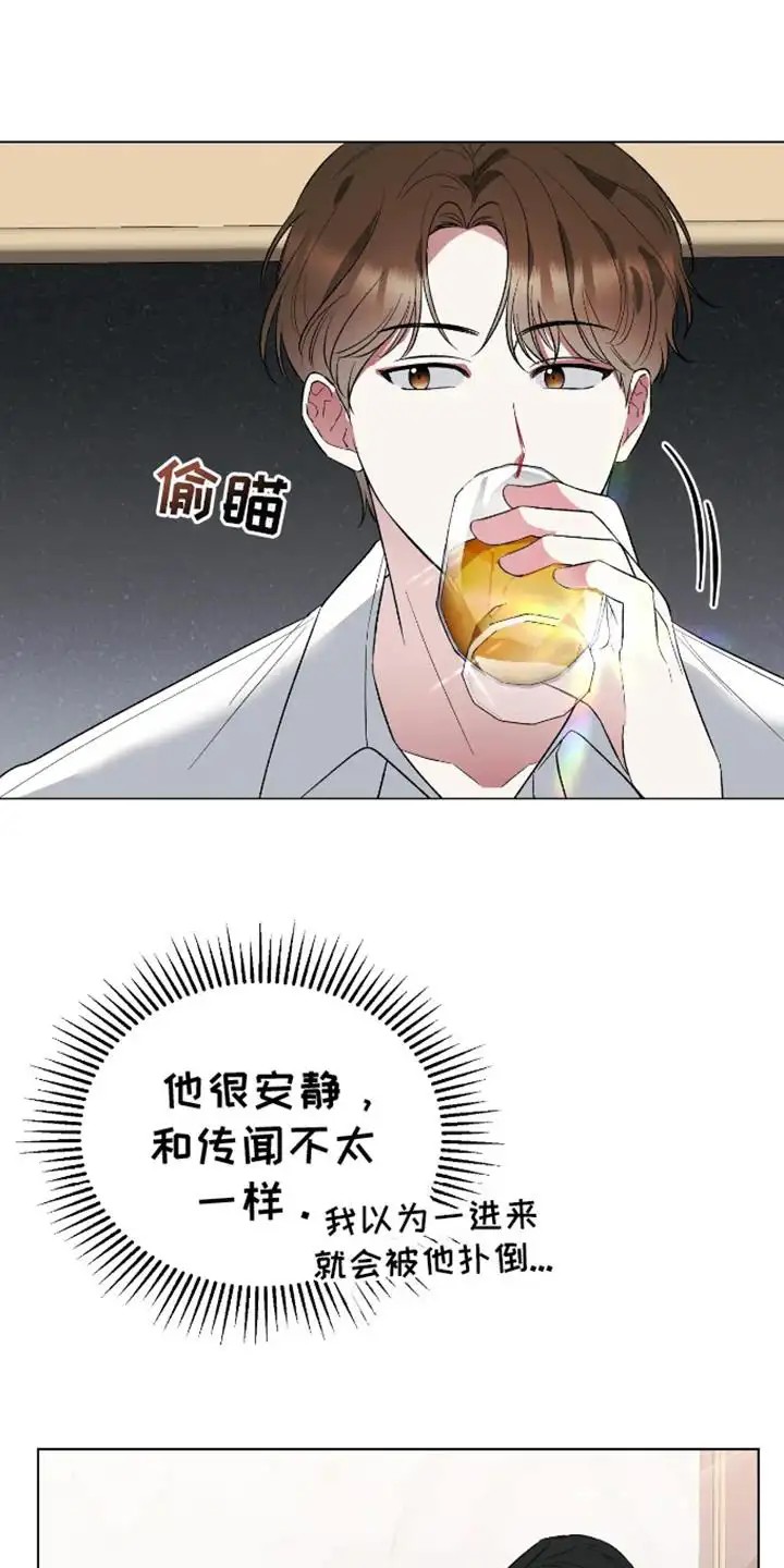 13.jpg