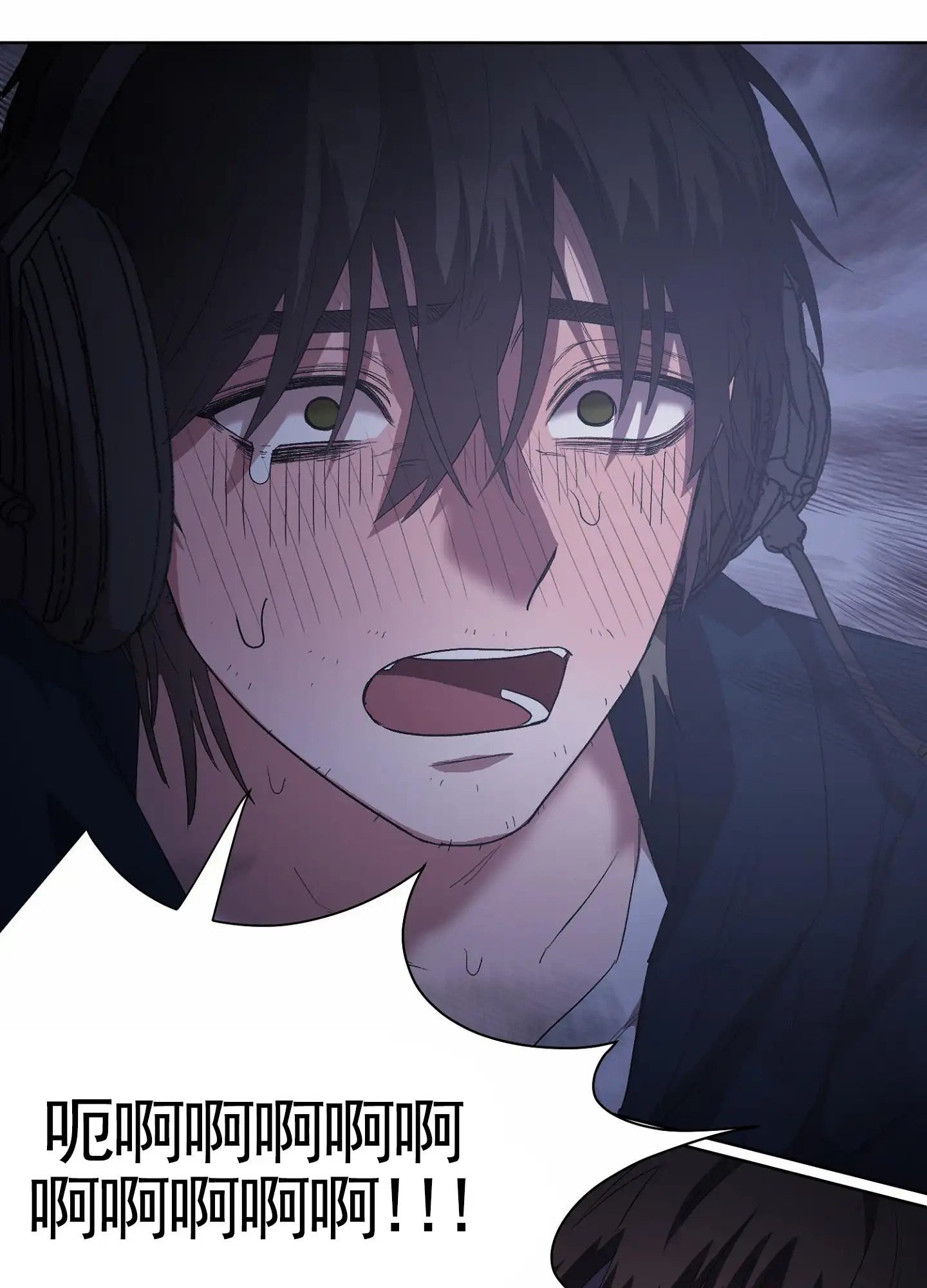 41.jpg