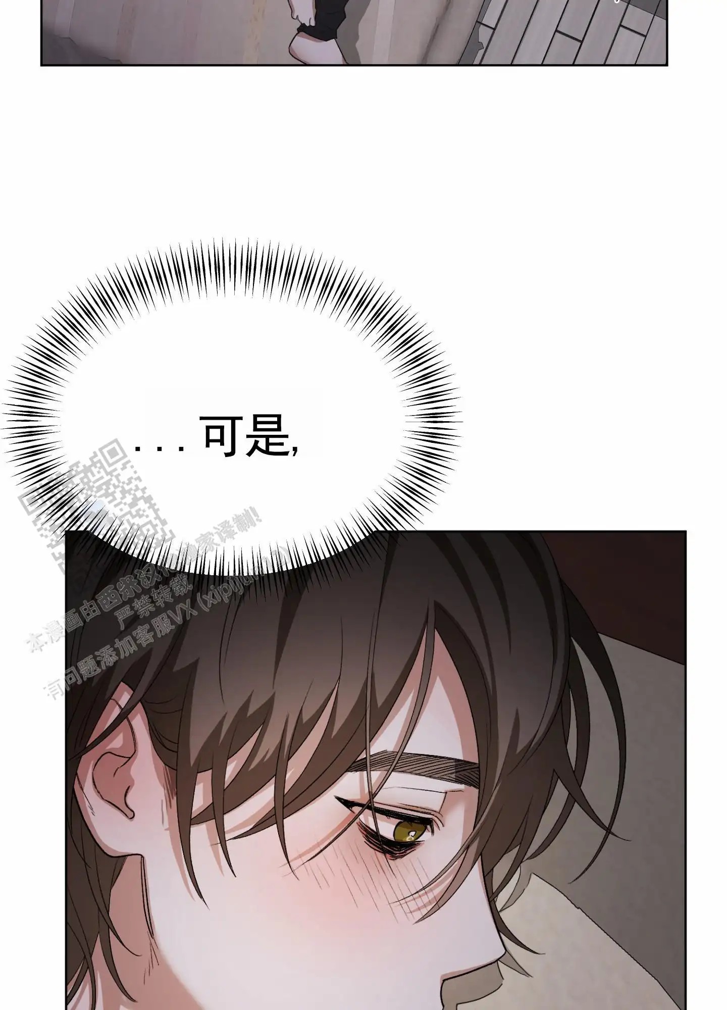 41.jpg