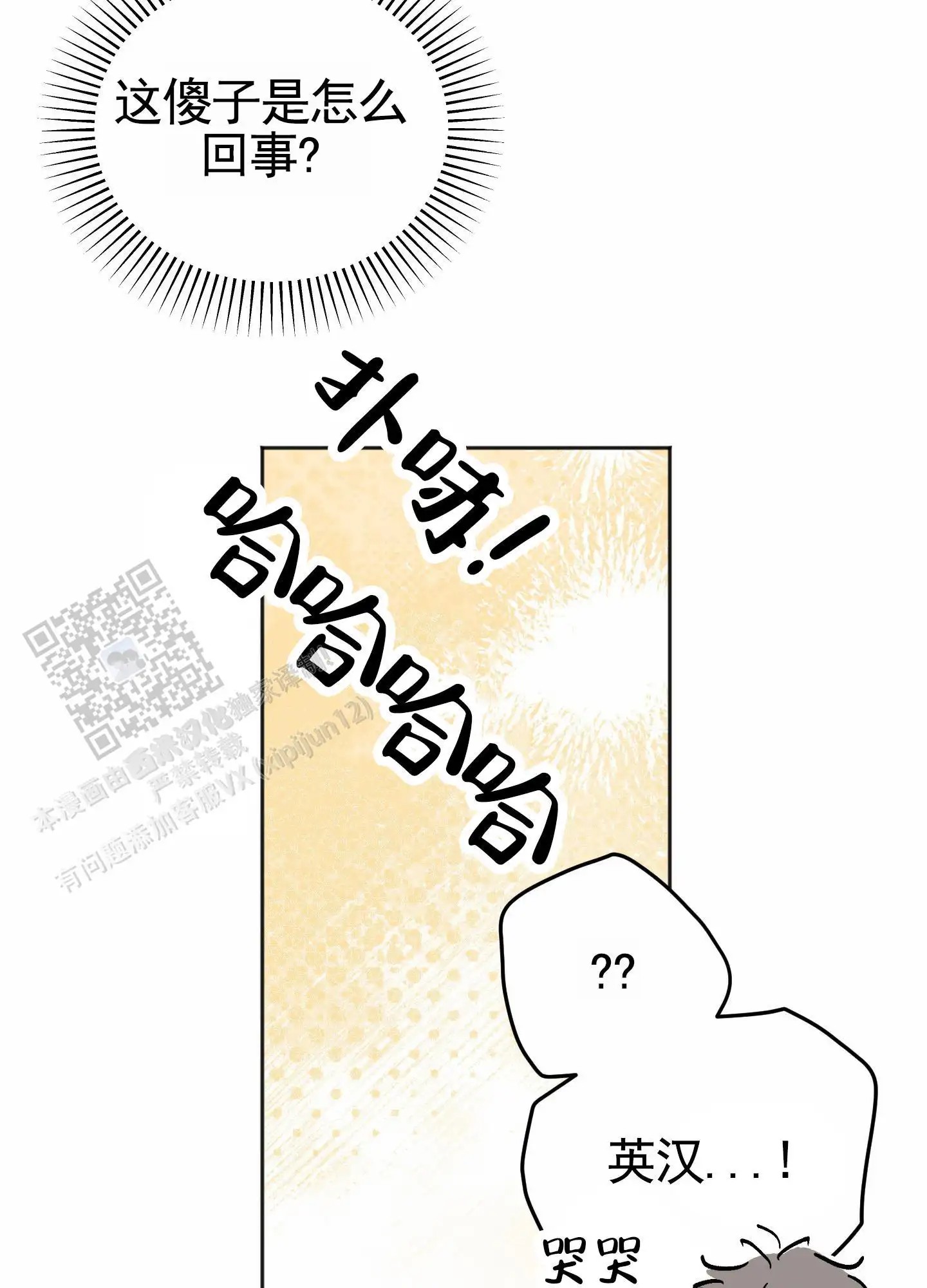 15.jpg