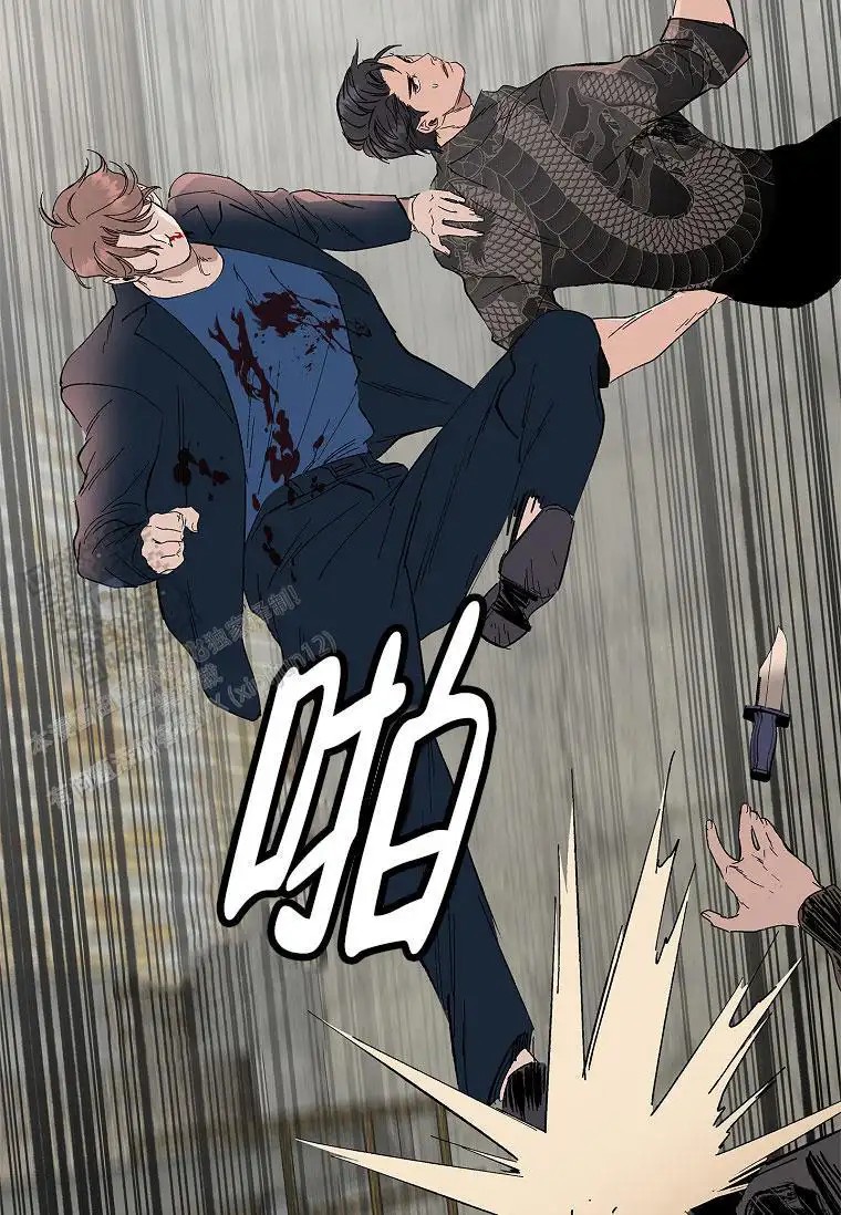 37.jpg