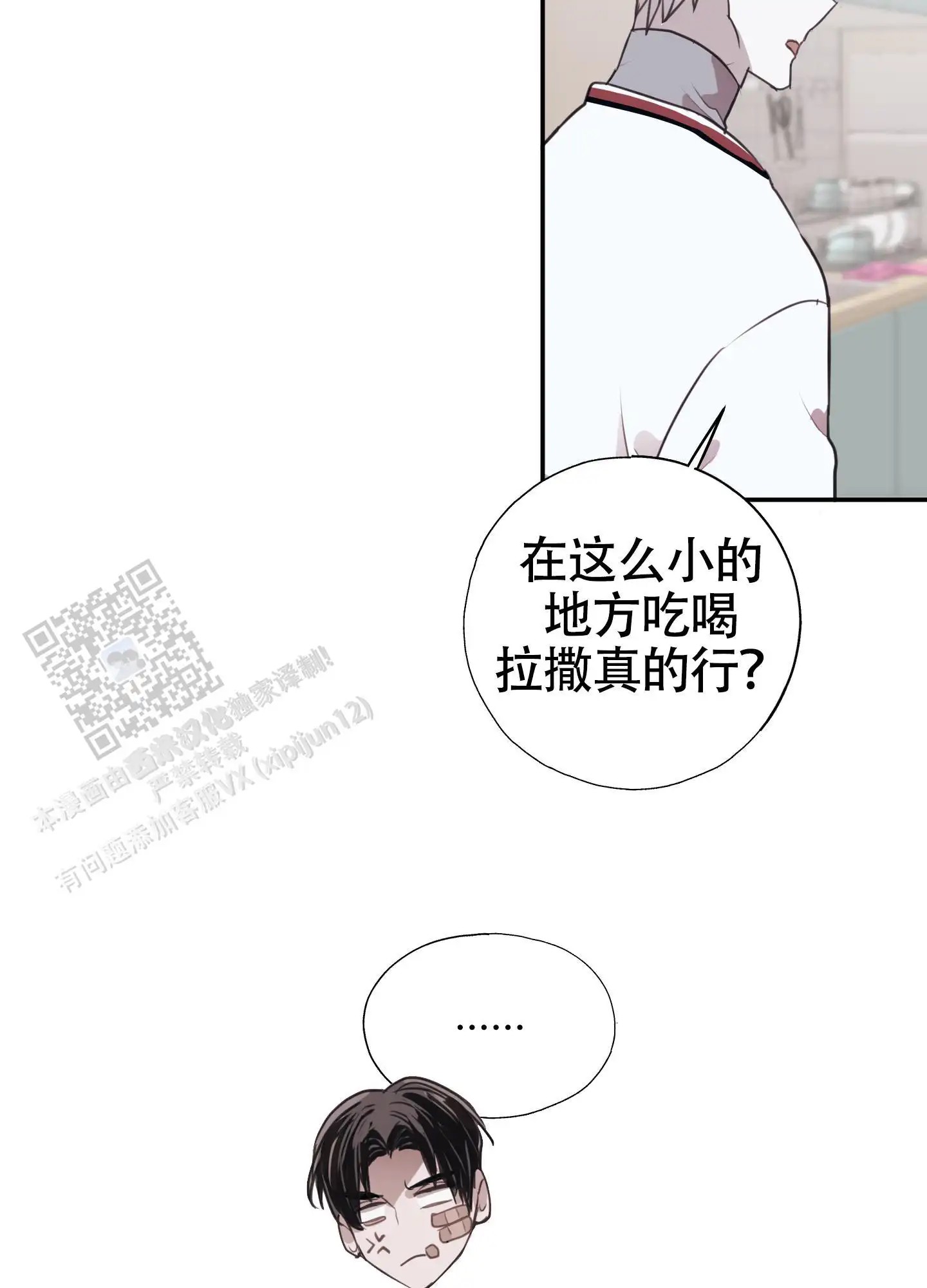 13.jpg