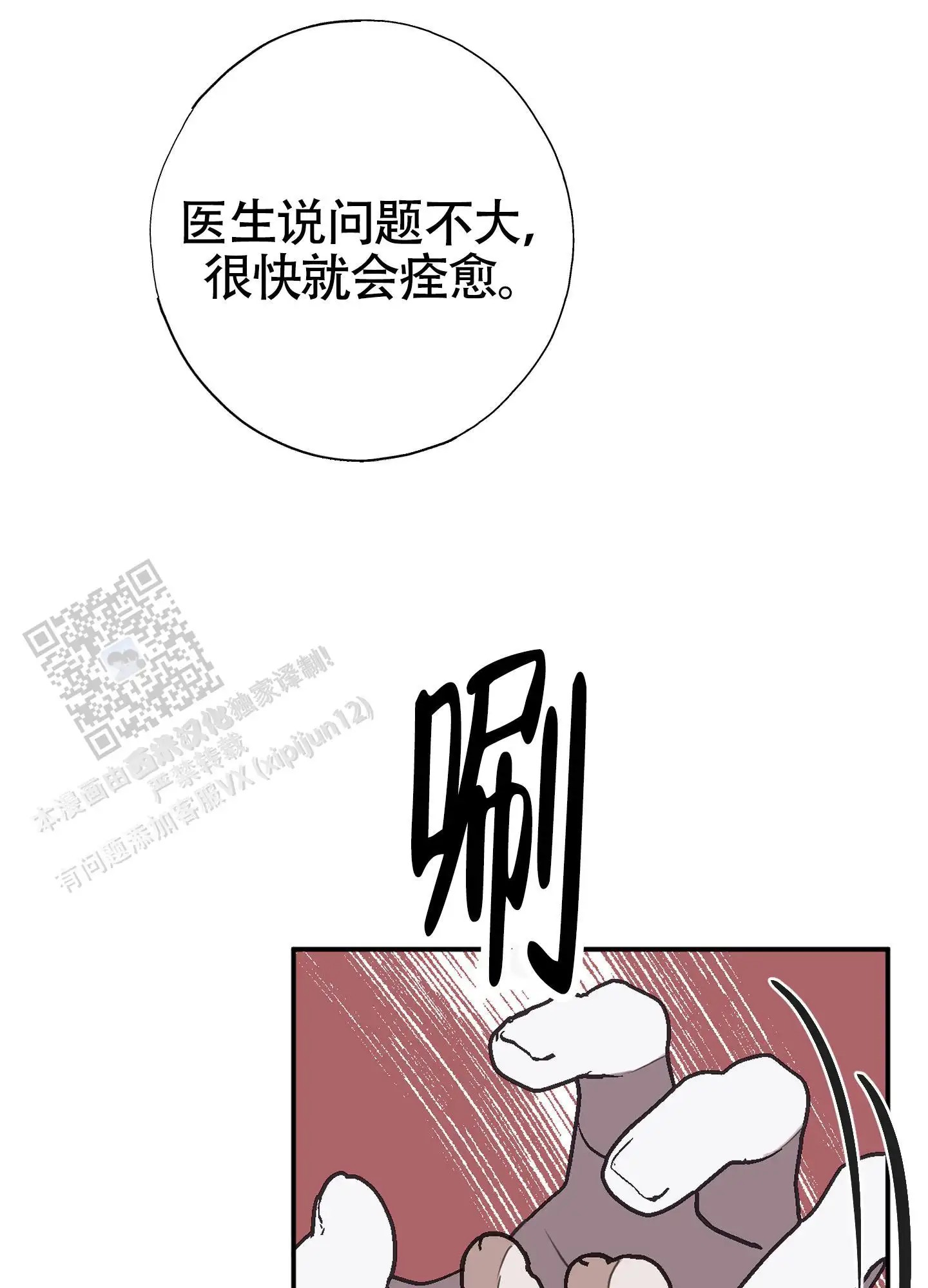 48.jpg