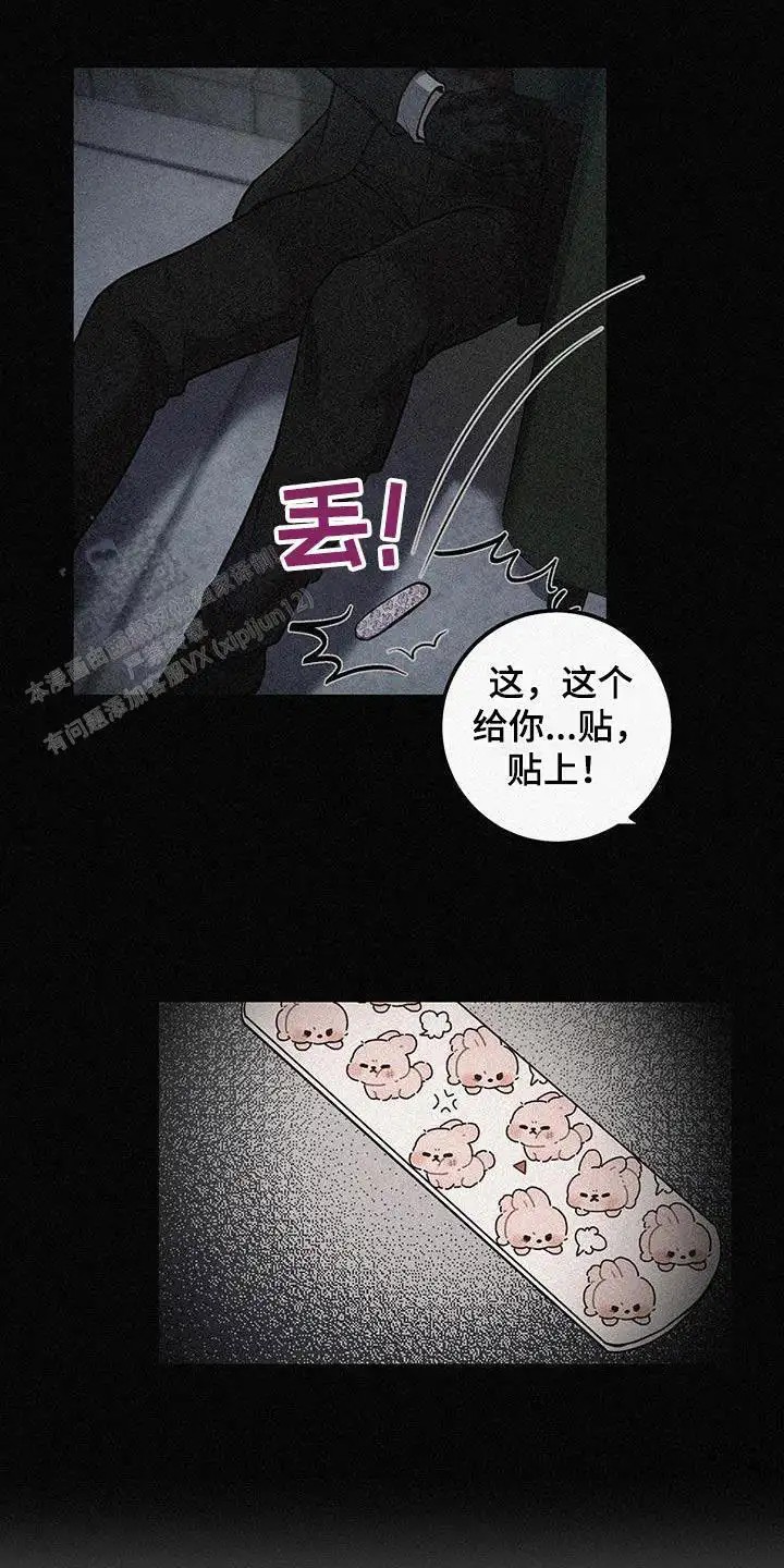 21.jpg