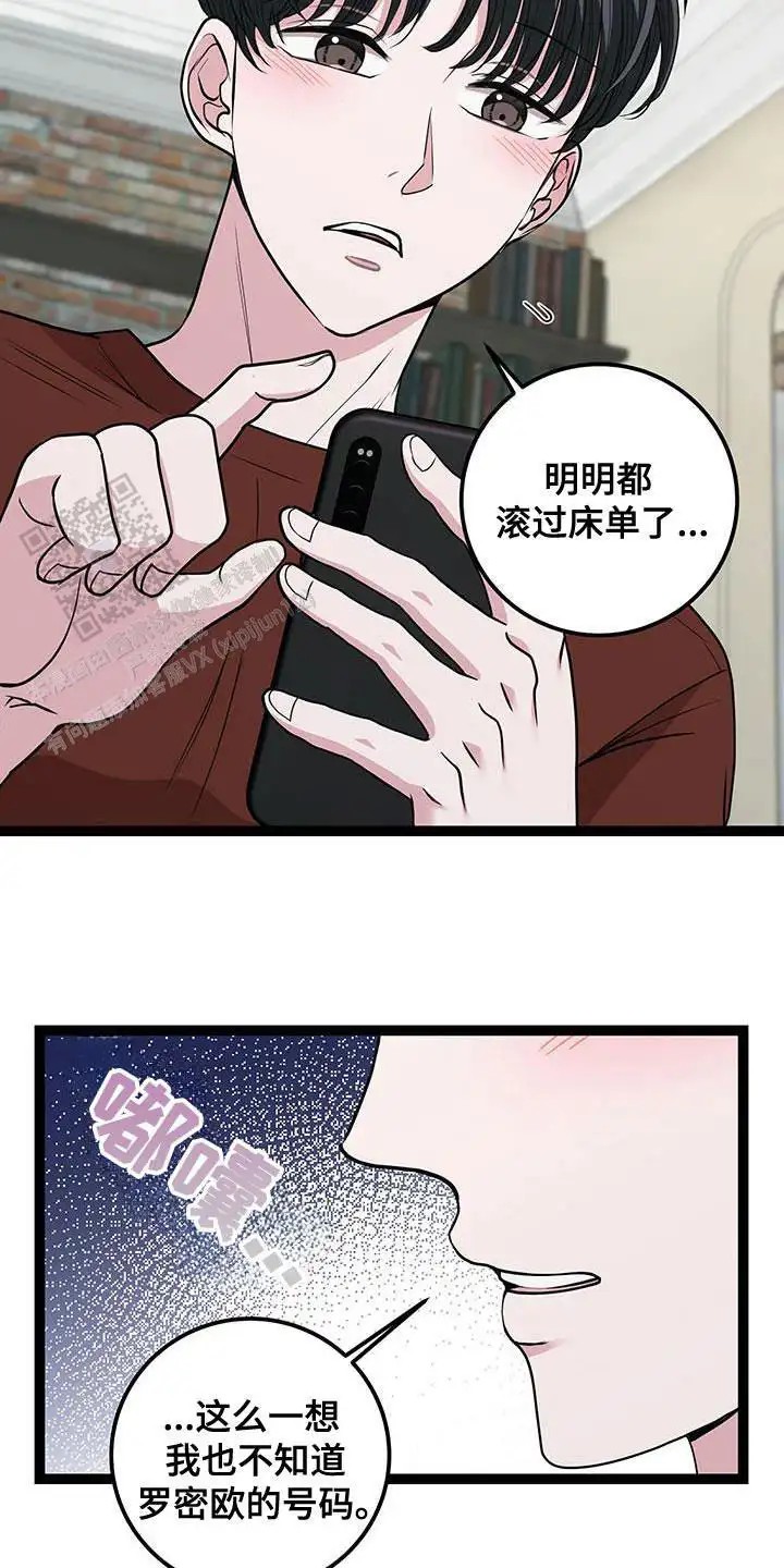 15.jpg