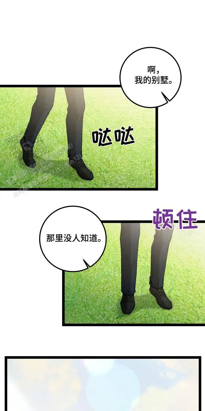 21.jpg