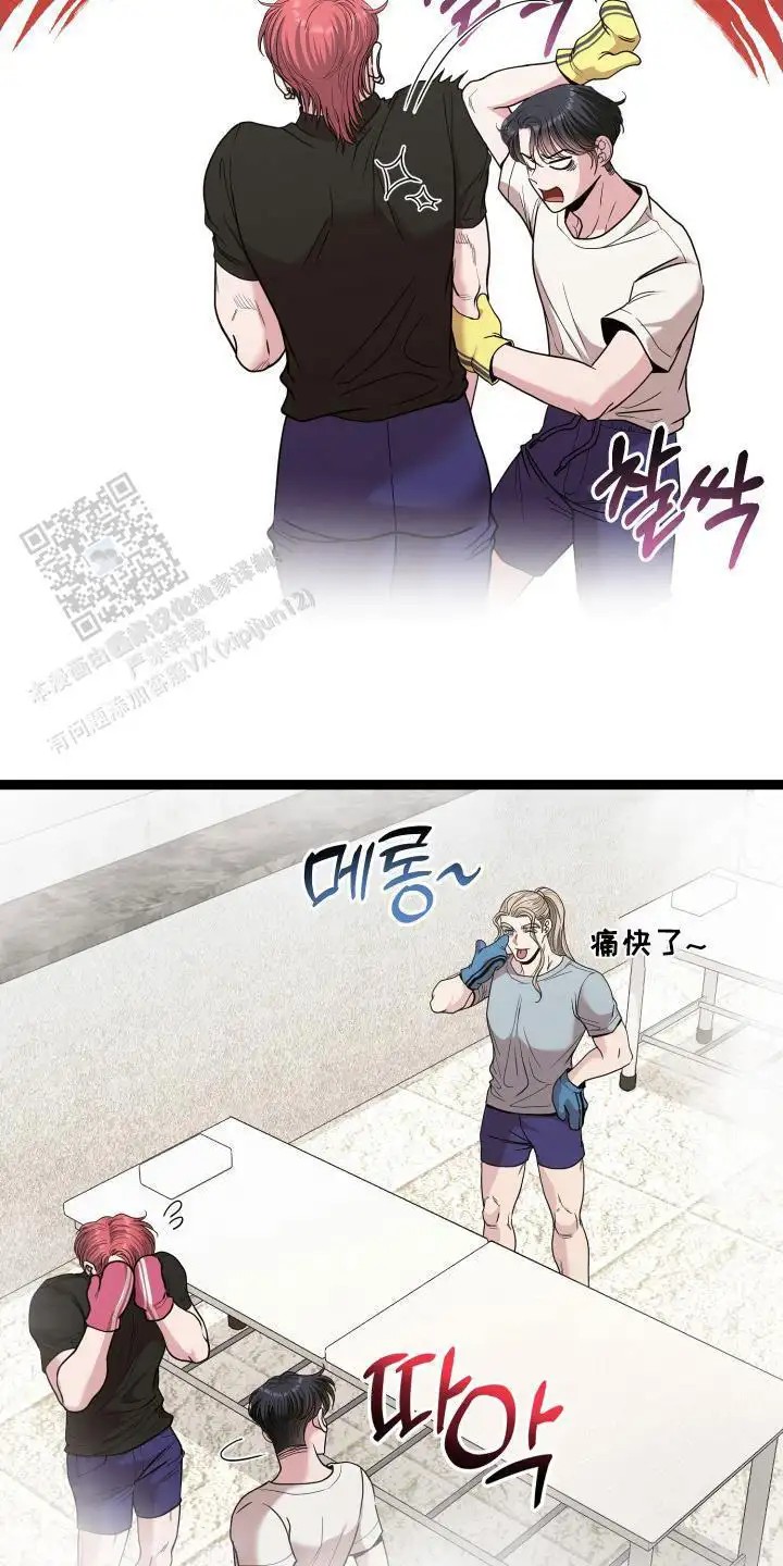 14.jpg