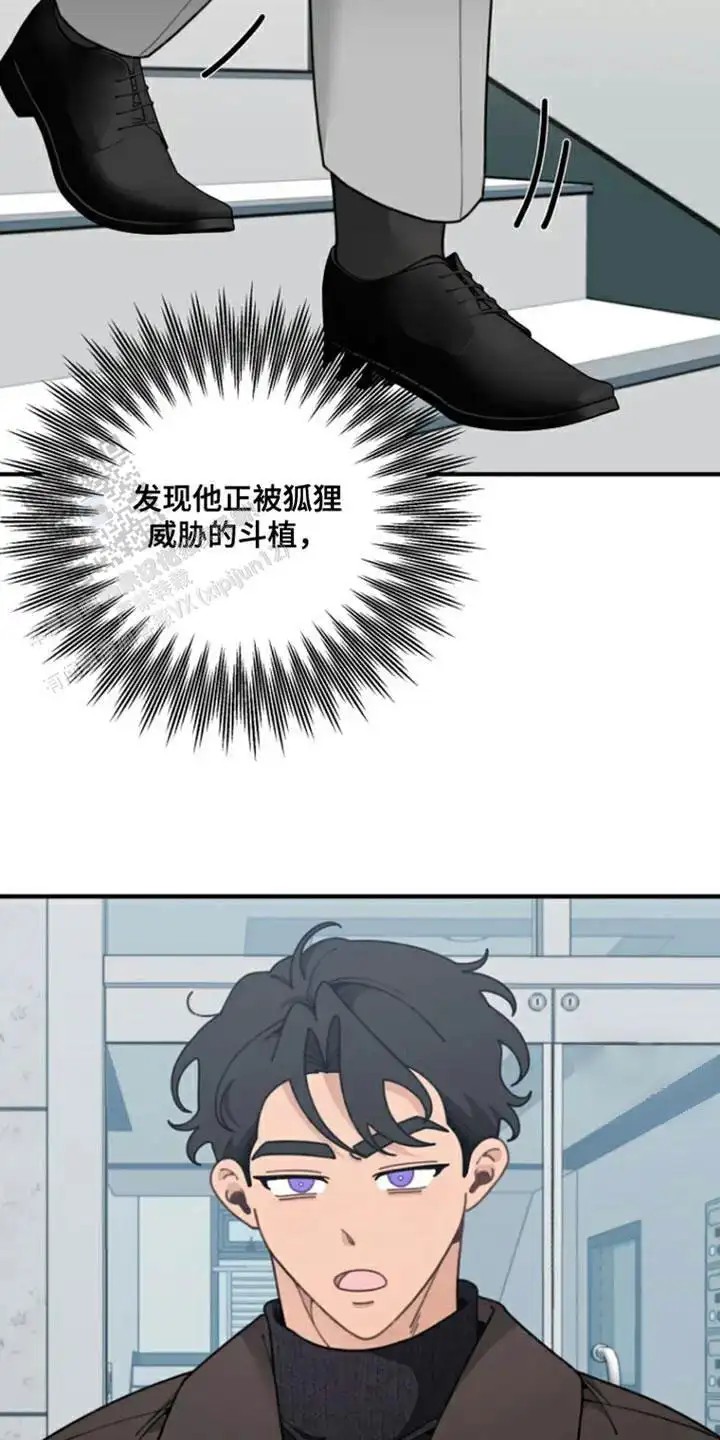 20.jpg