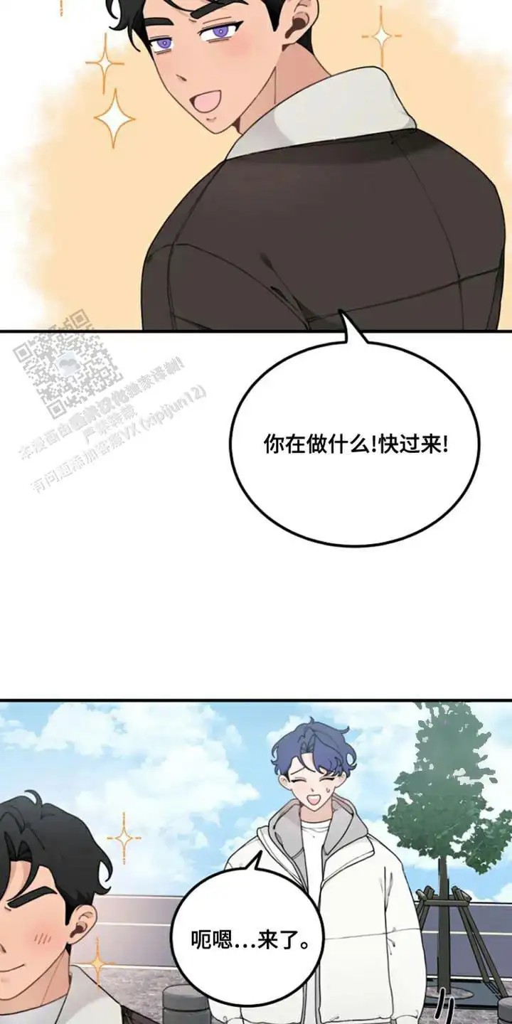 4.jpg