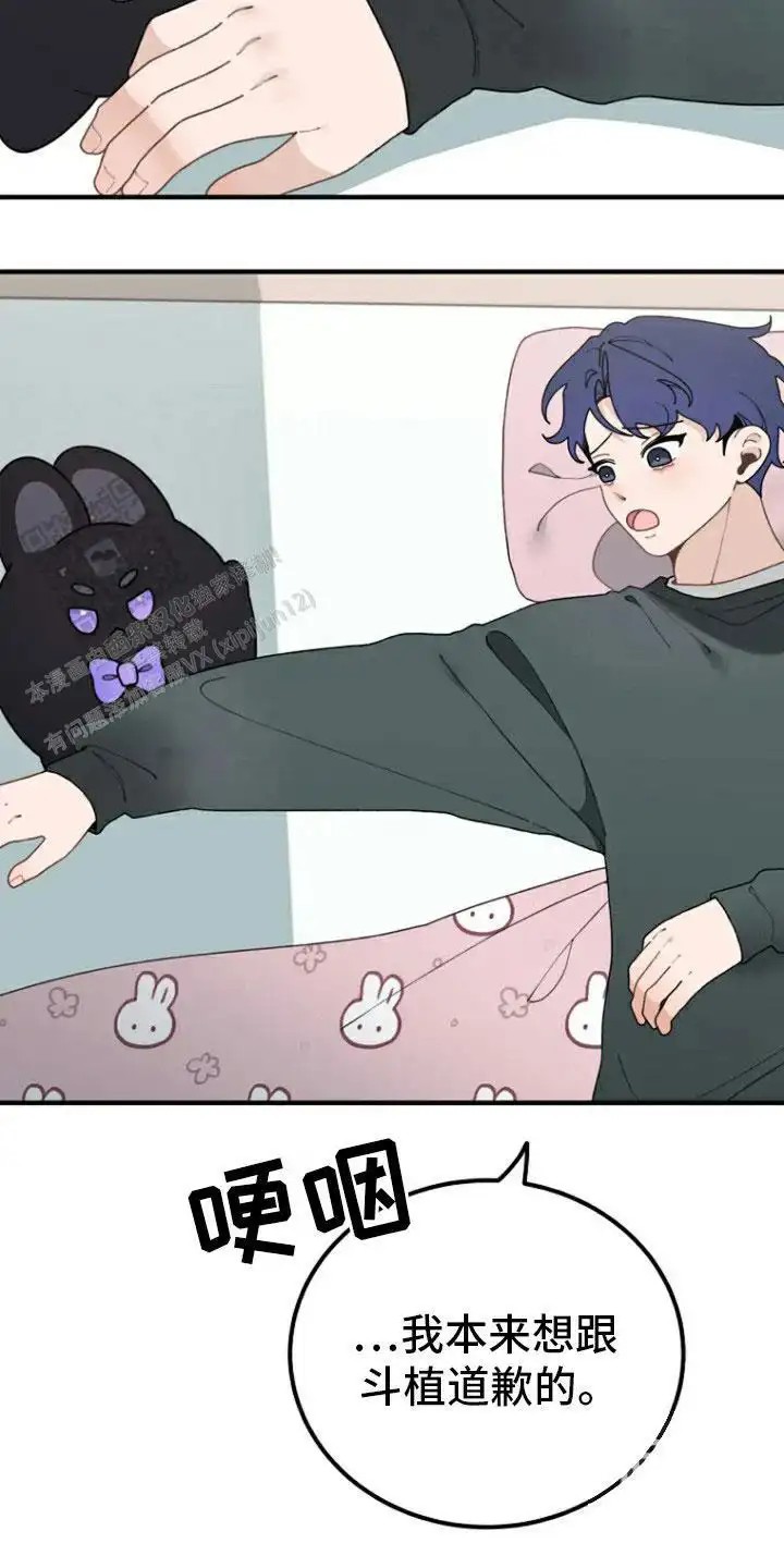 14.jpg