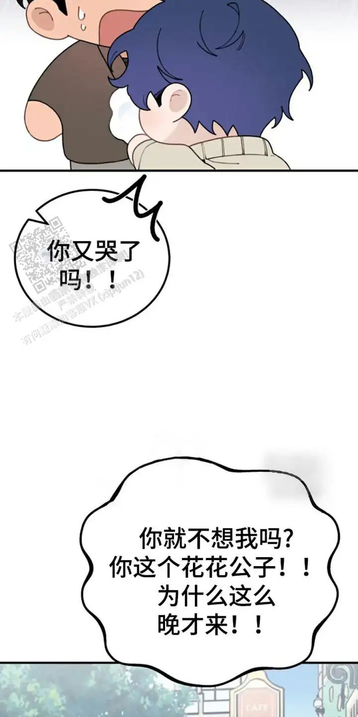 13.jpg