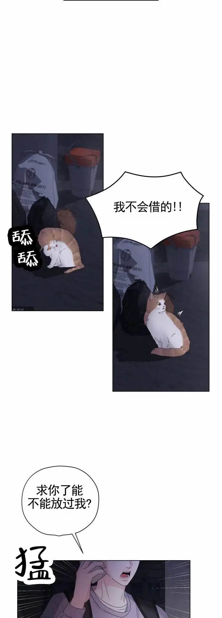 24.jpg