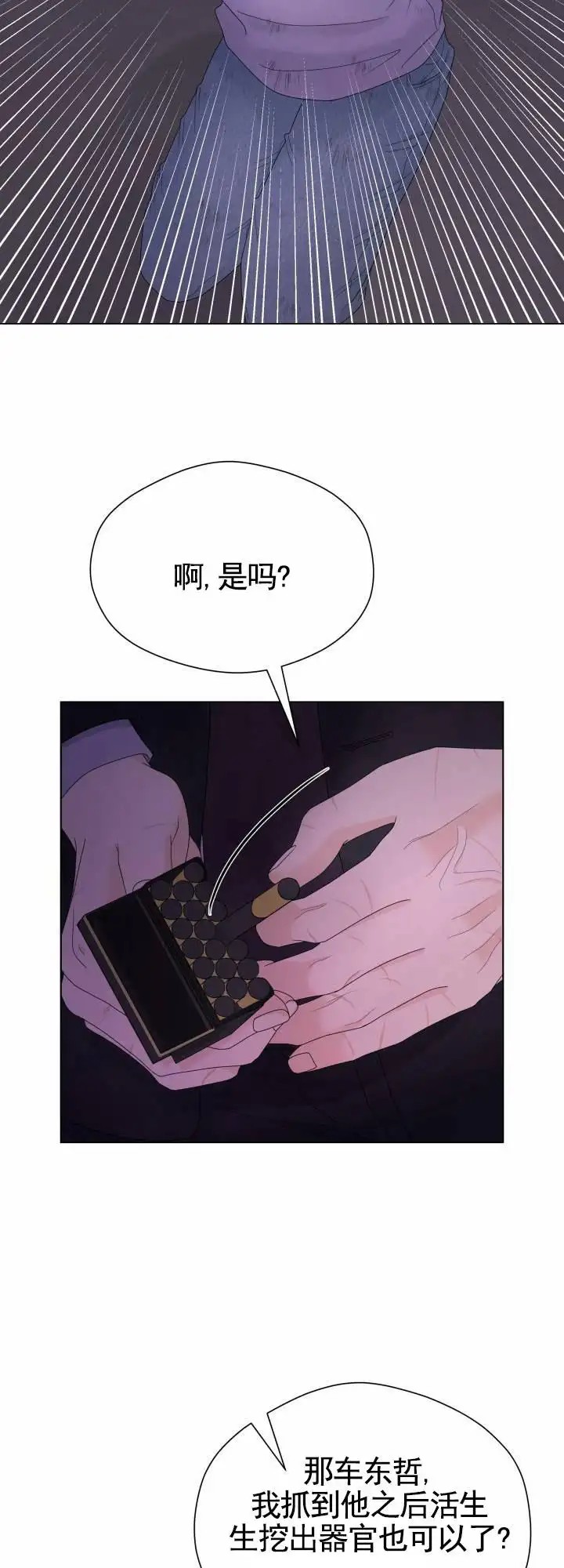 29.jpg