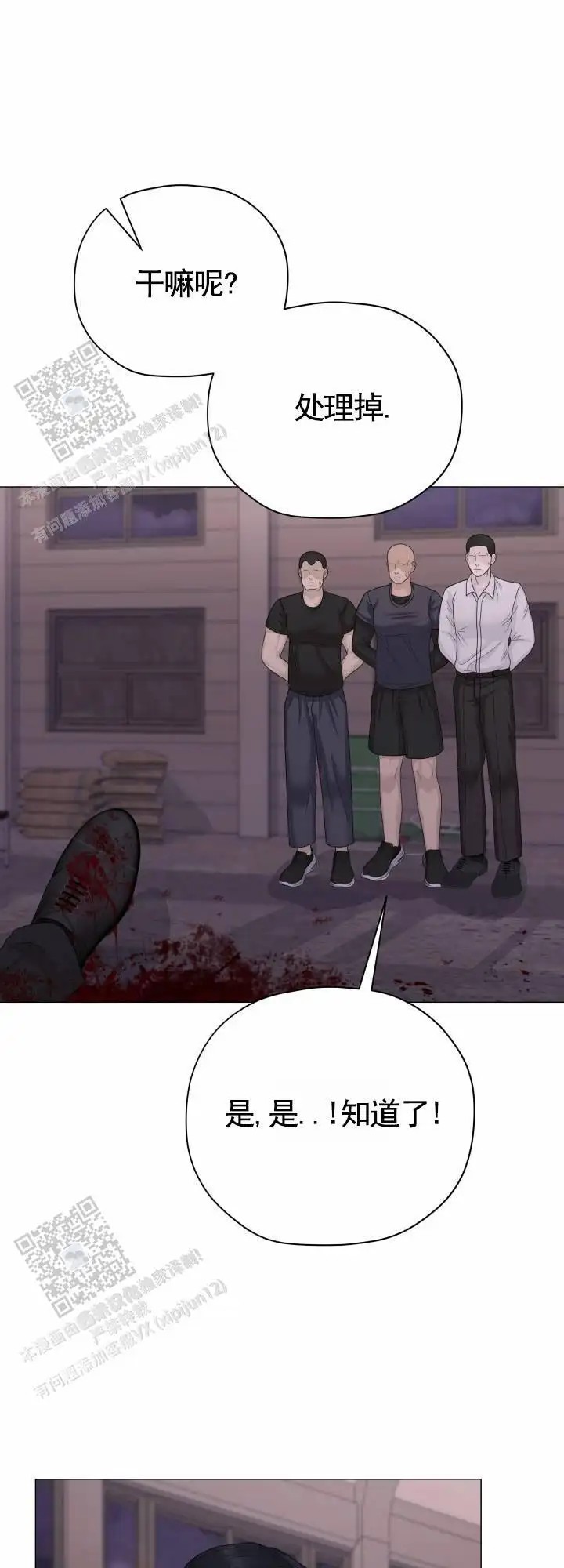 33.jpg